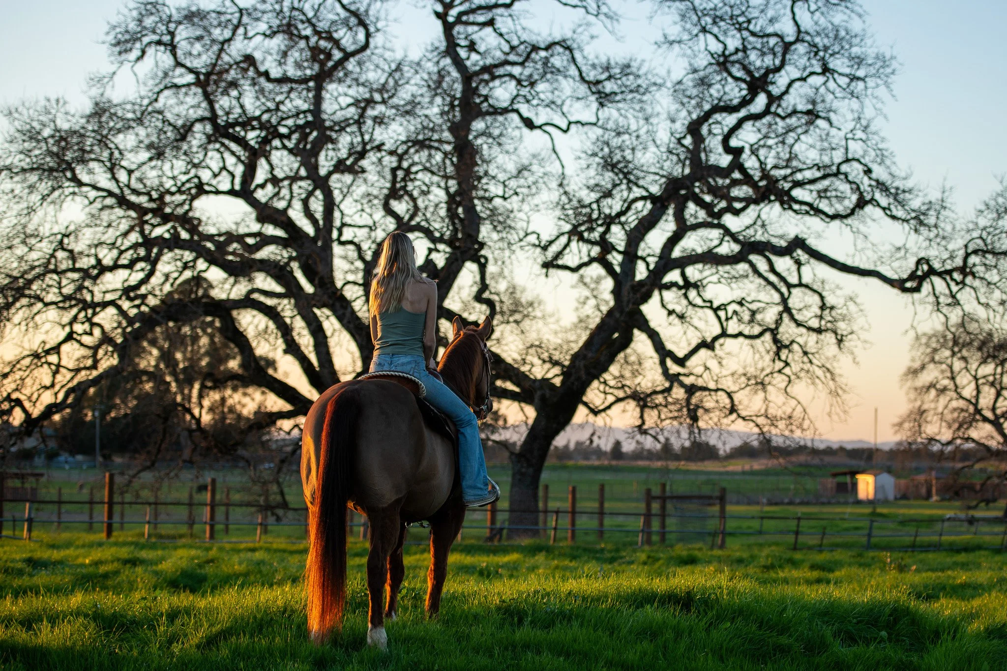A woman with long blonde hair sitting on a brown horse in a grassy field at sunset, with large leafless trees in the background.
