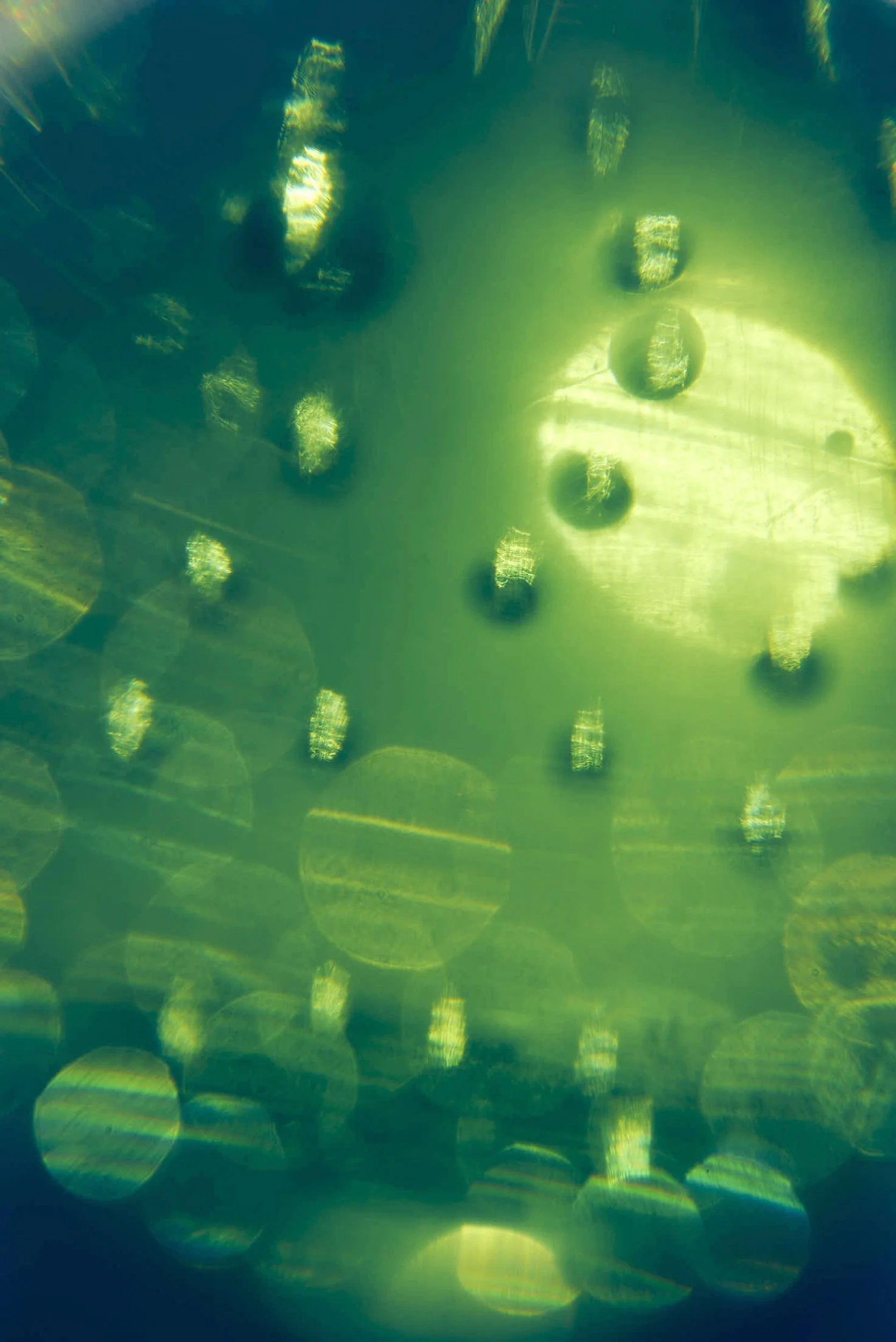 Bottle Village_Parker__104_F.jpg