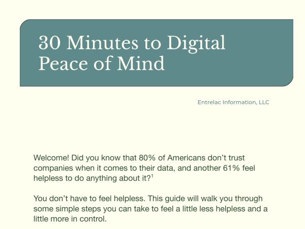 30MinutesDigitalPeace.png