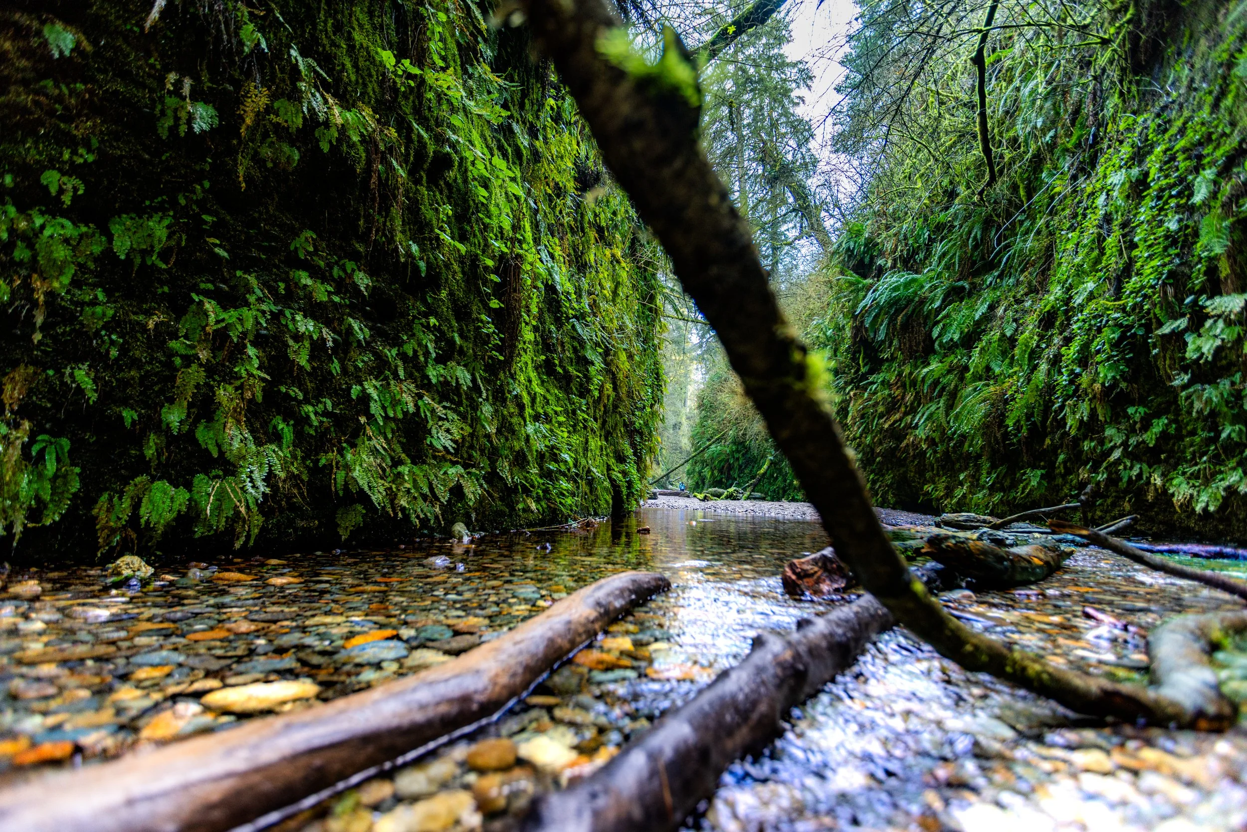 landscape-5.jpg