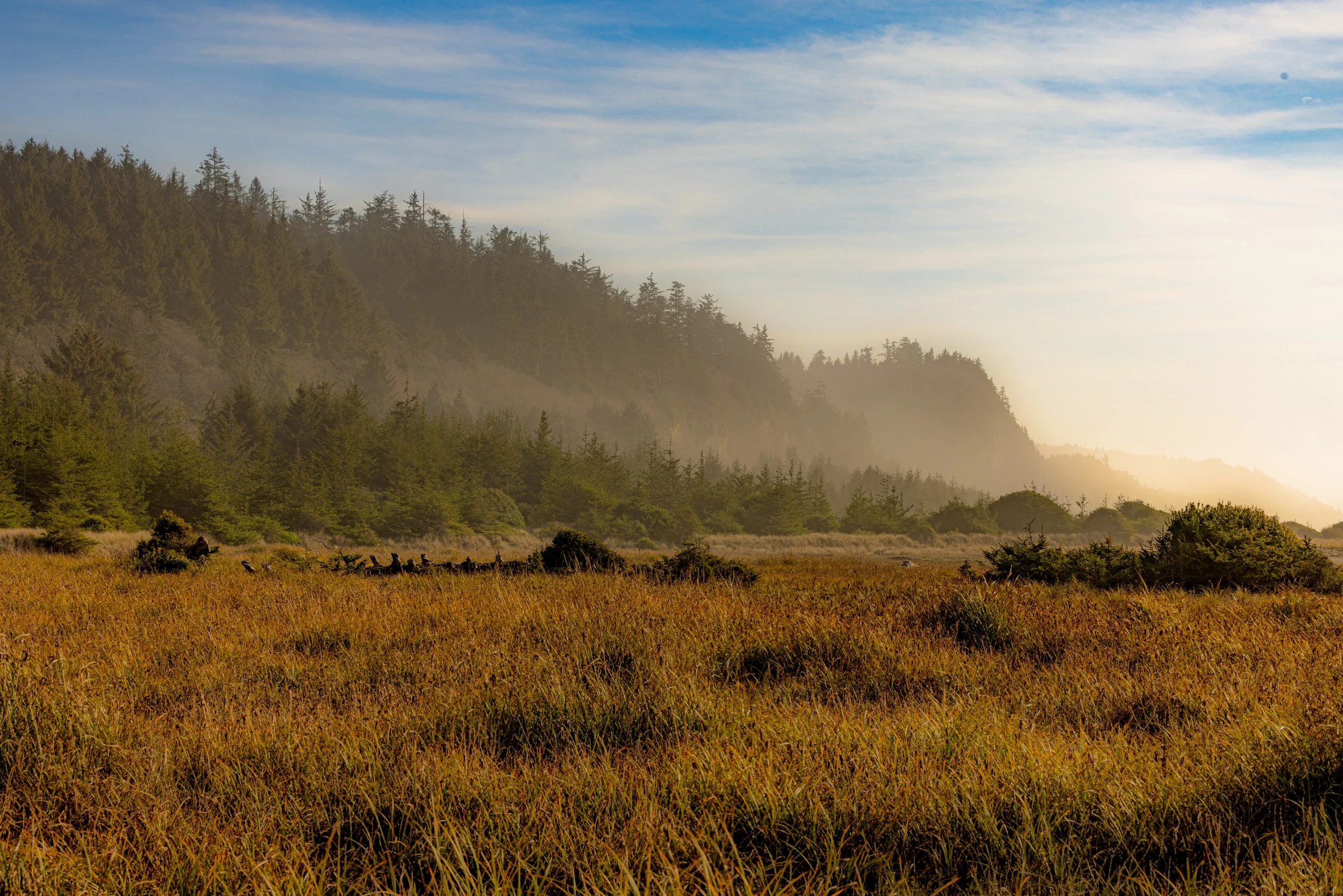 landscape-8.jpg