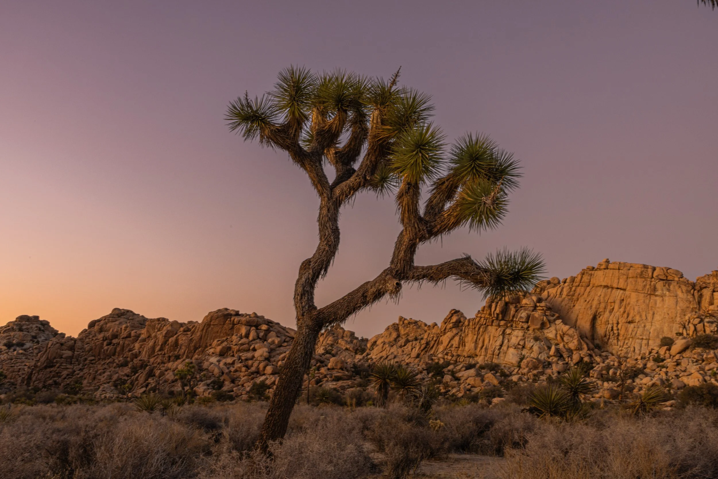 landscape-16.jpg
