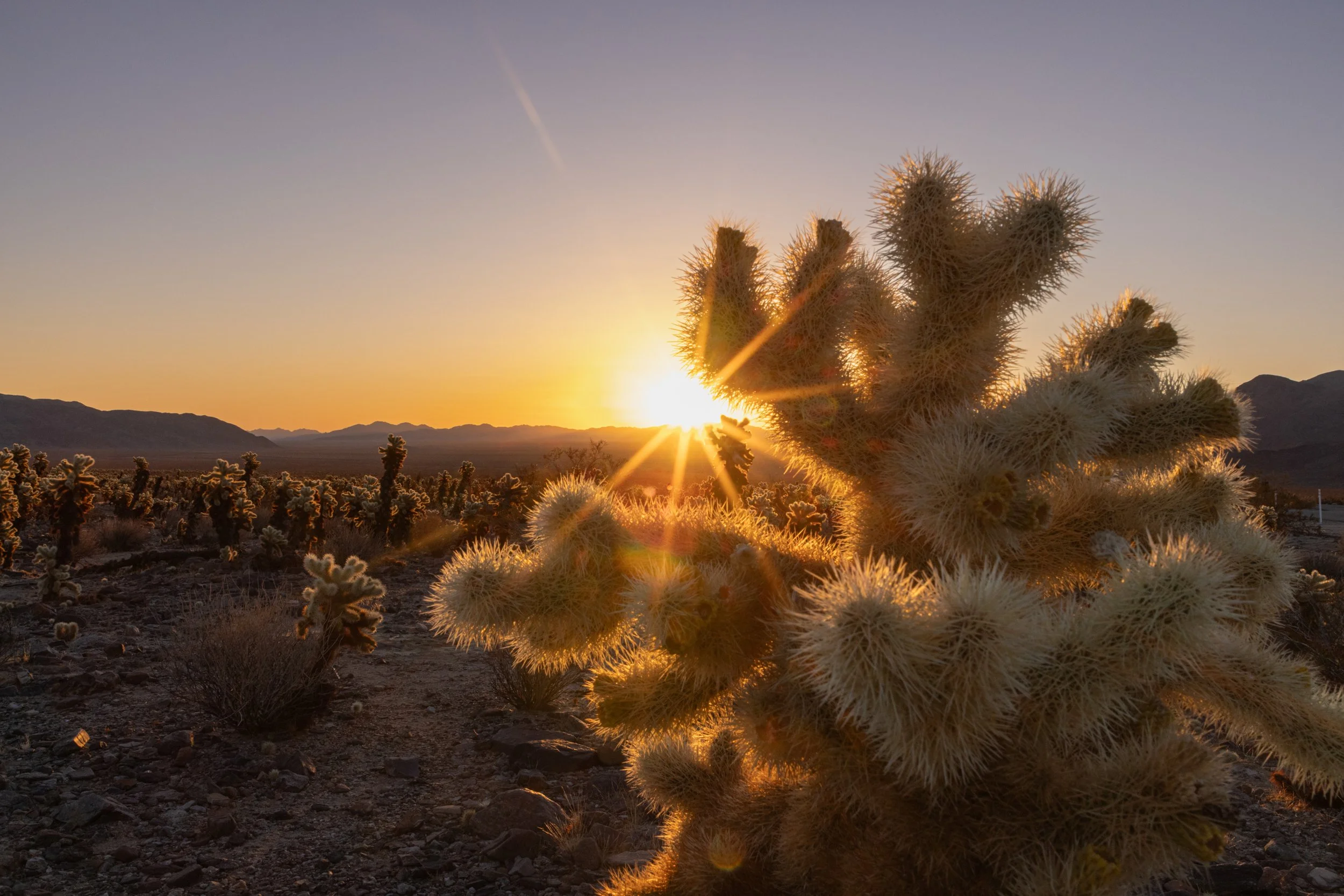 landscape-17.jpg