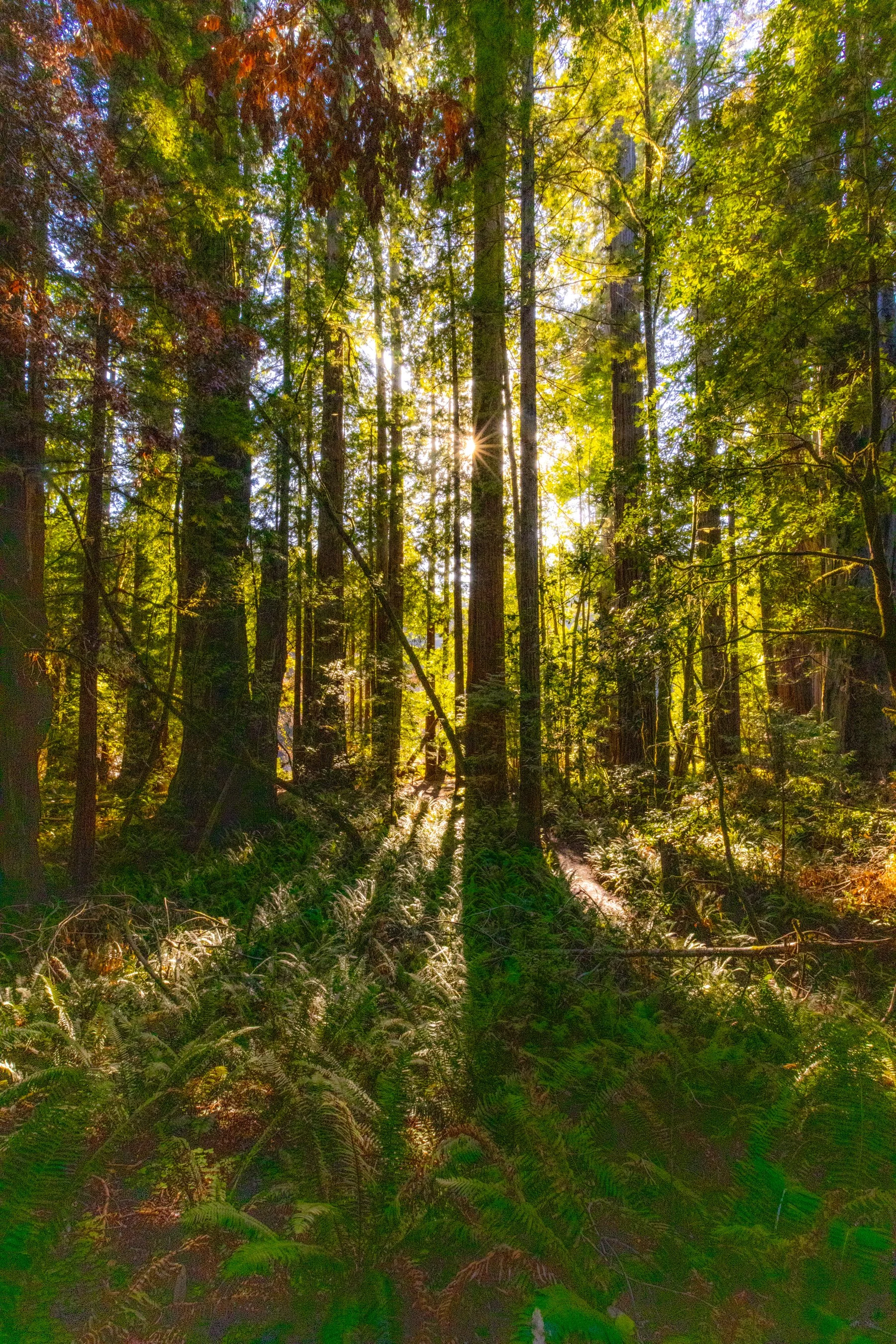 landscape-11.jpg
