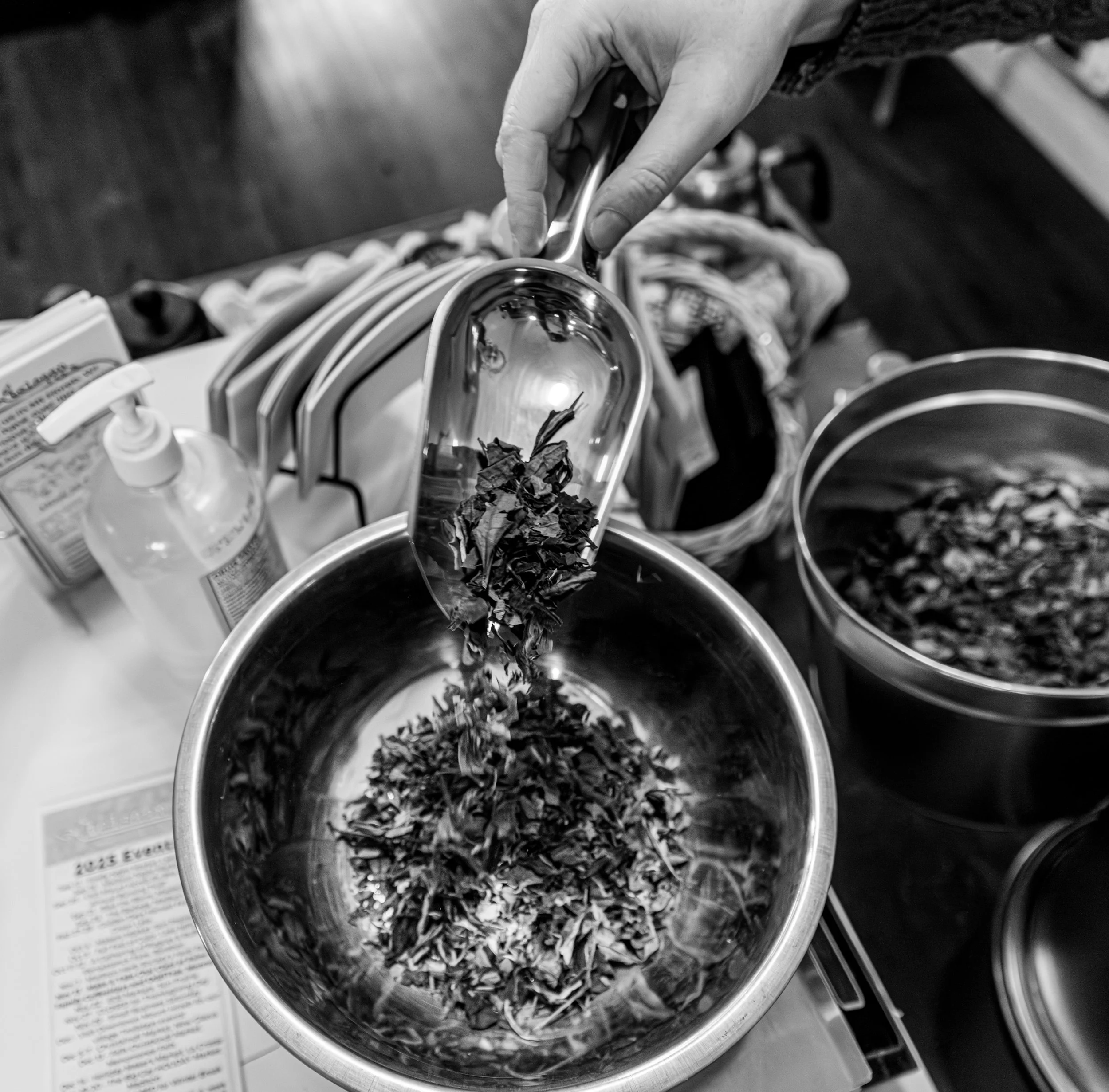 environmental portrait-10.jpg