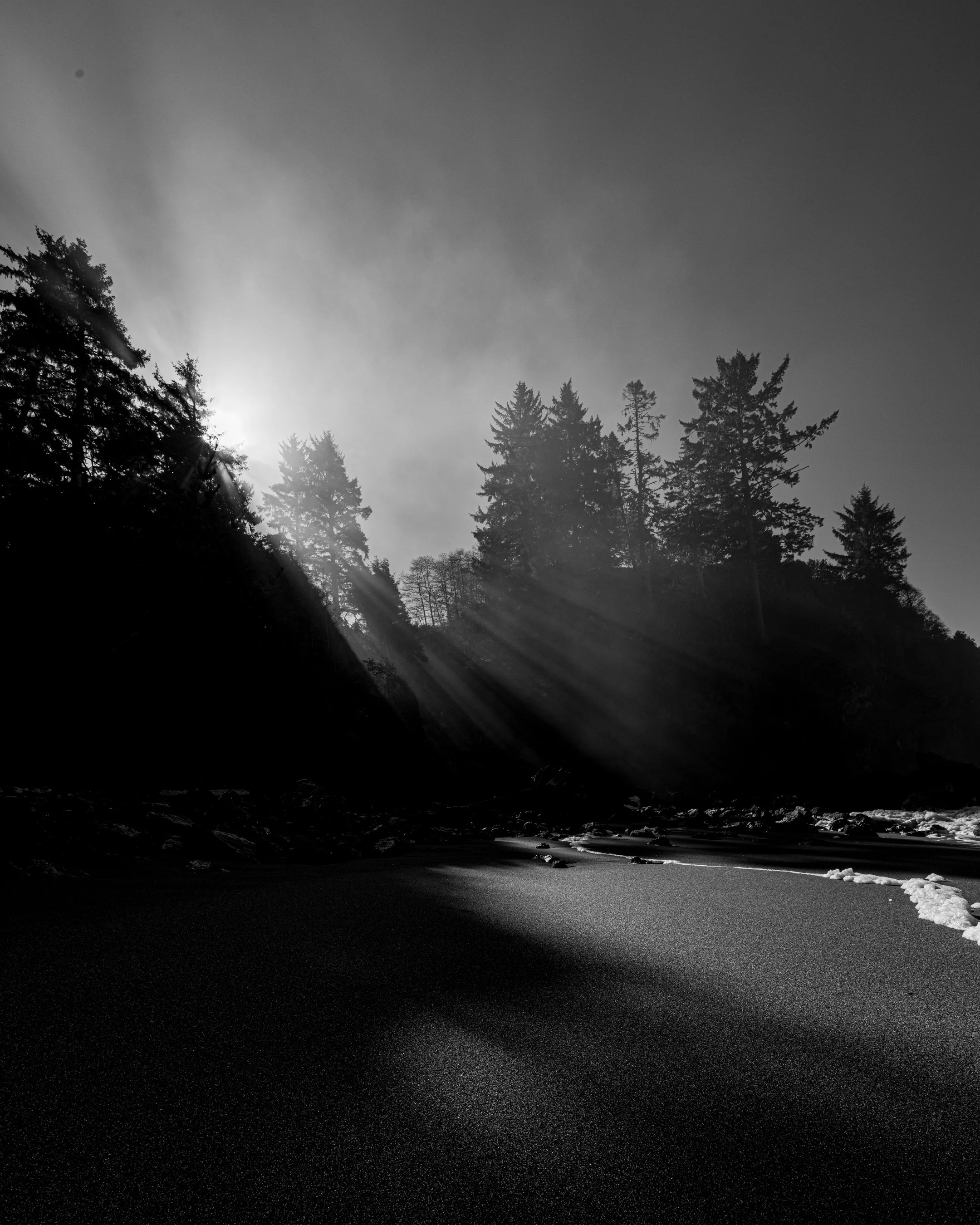 landscape-20.jpg