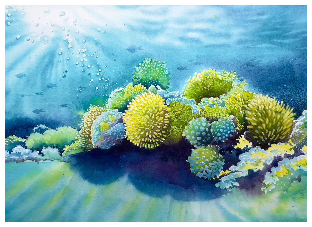MARINE MELODY_watercolor_2024.png