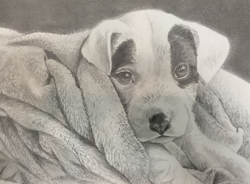 BrendaBrown-PuppyBath-PencilSketch.png