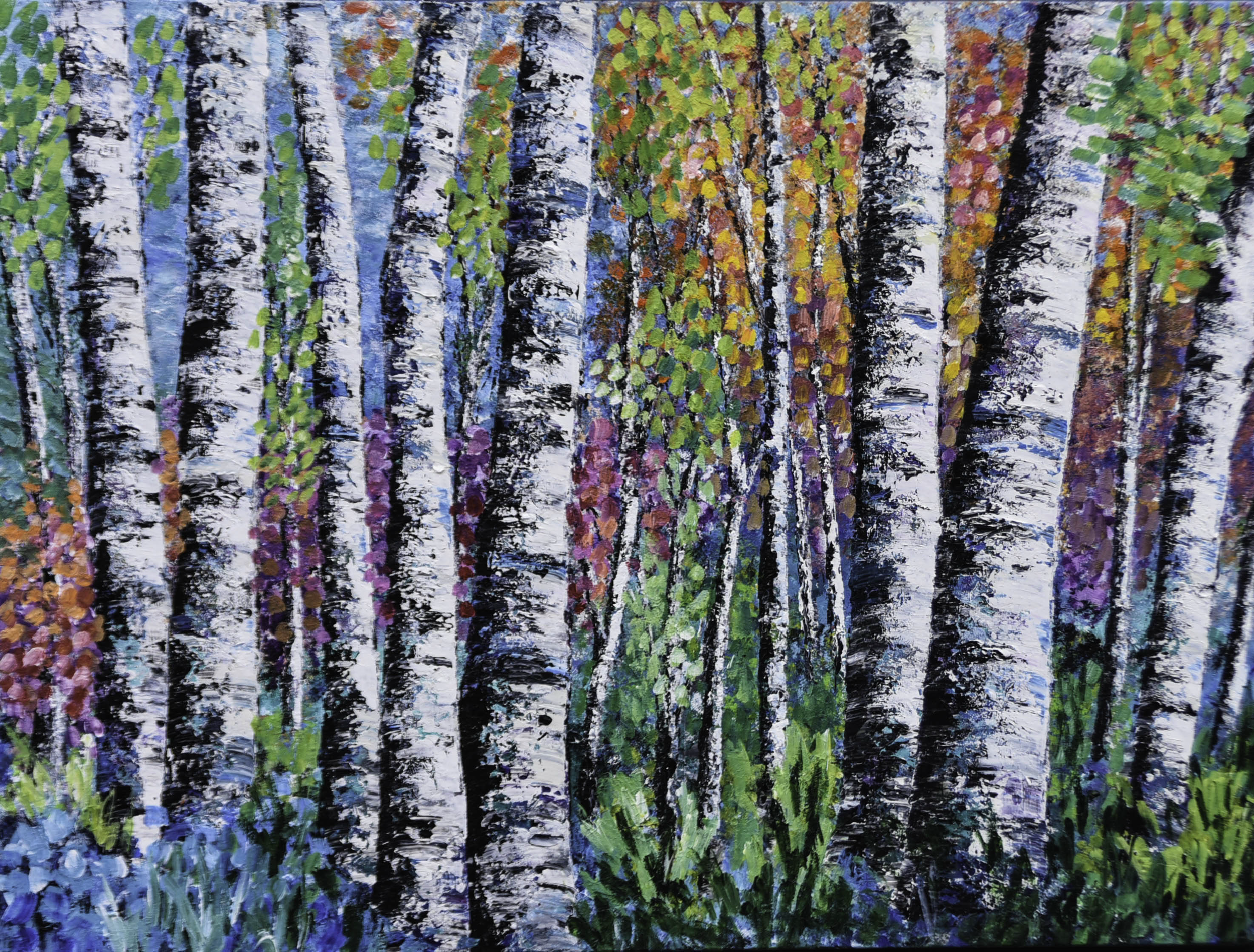 Autumn Birch_2024.png