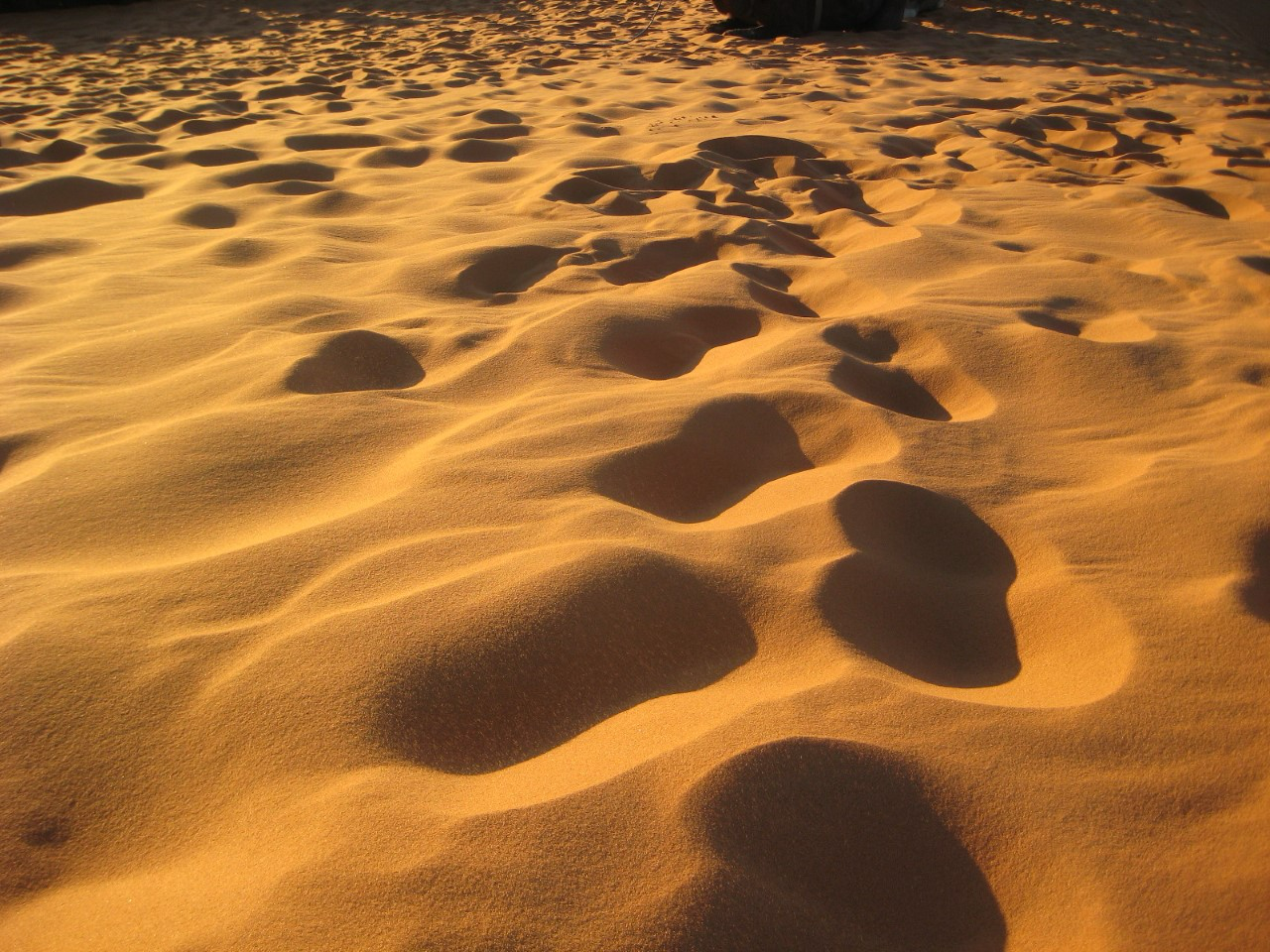 Debby_de-Groot_Footsteps PNG.png