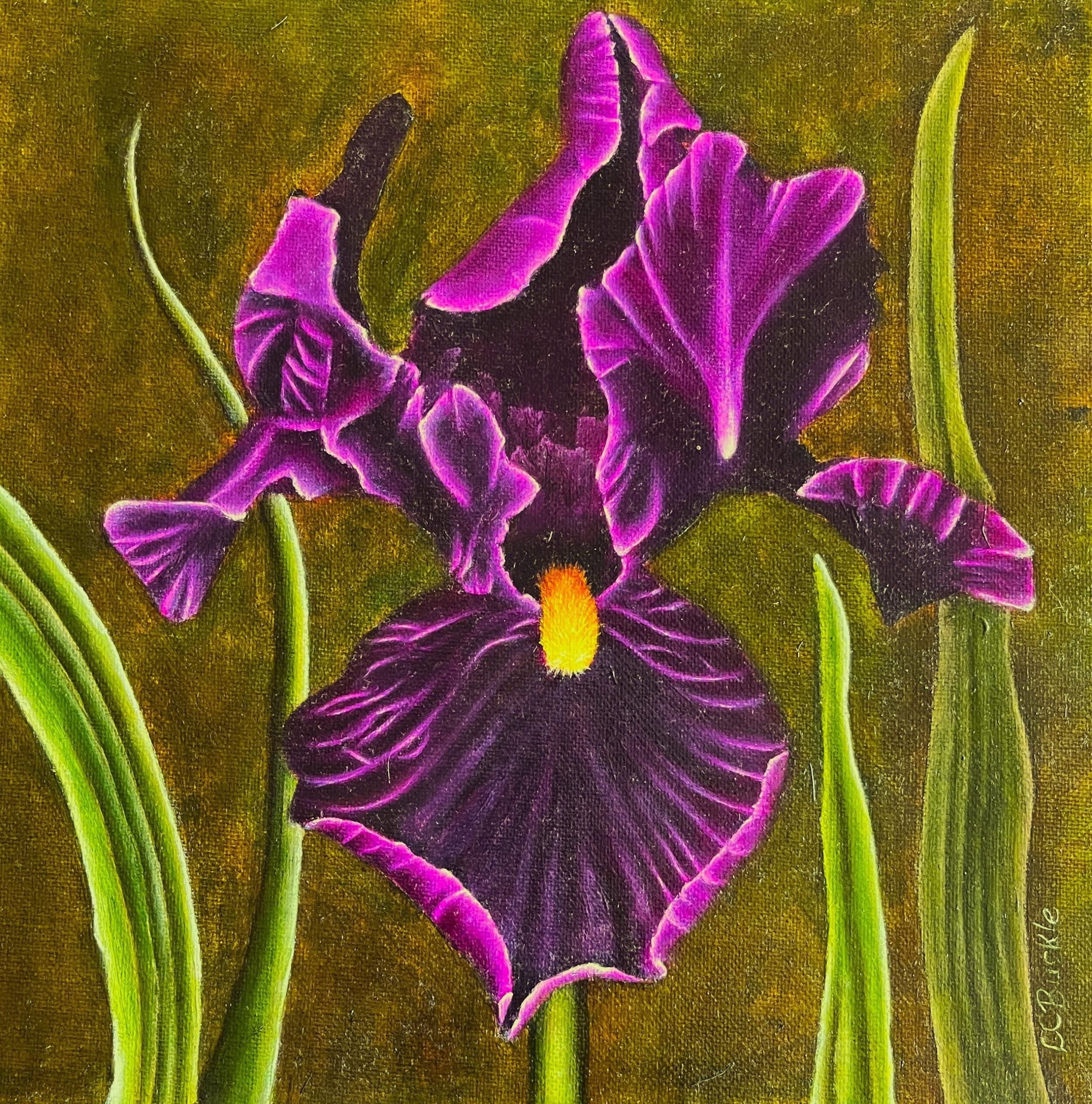 Leslie_Buckle_Purple-Iris-1-scaled.png