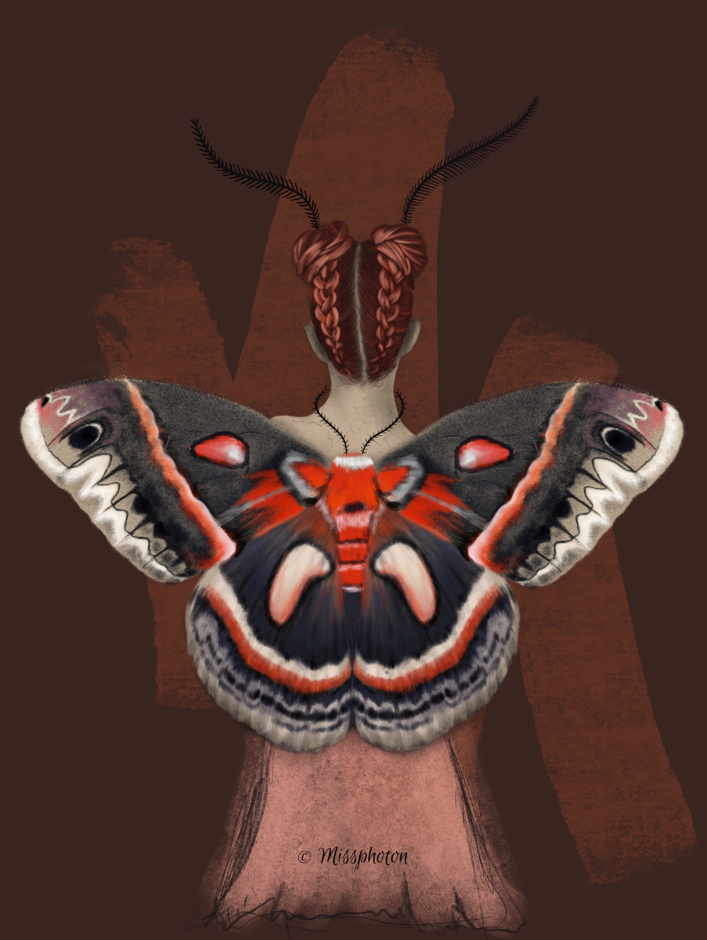 Moth-Cecropia_Digital_2025.png