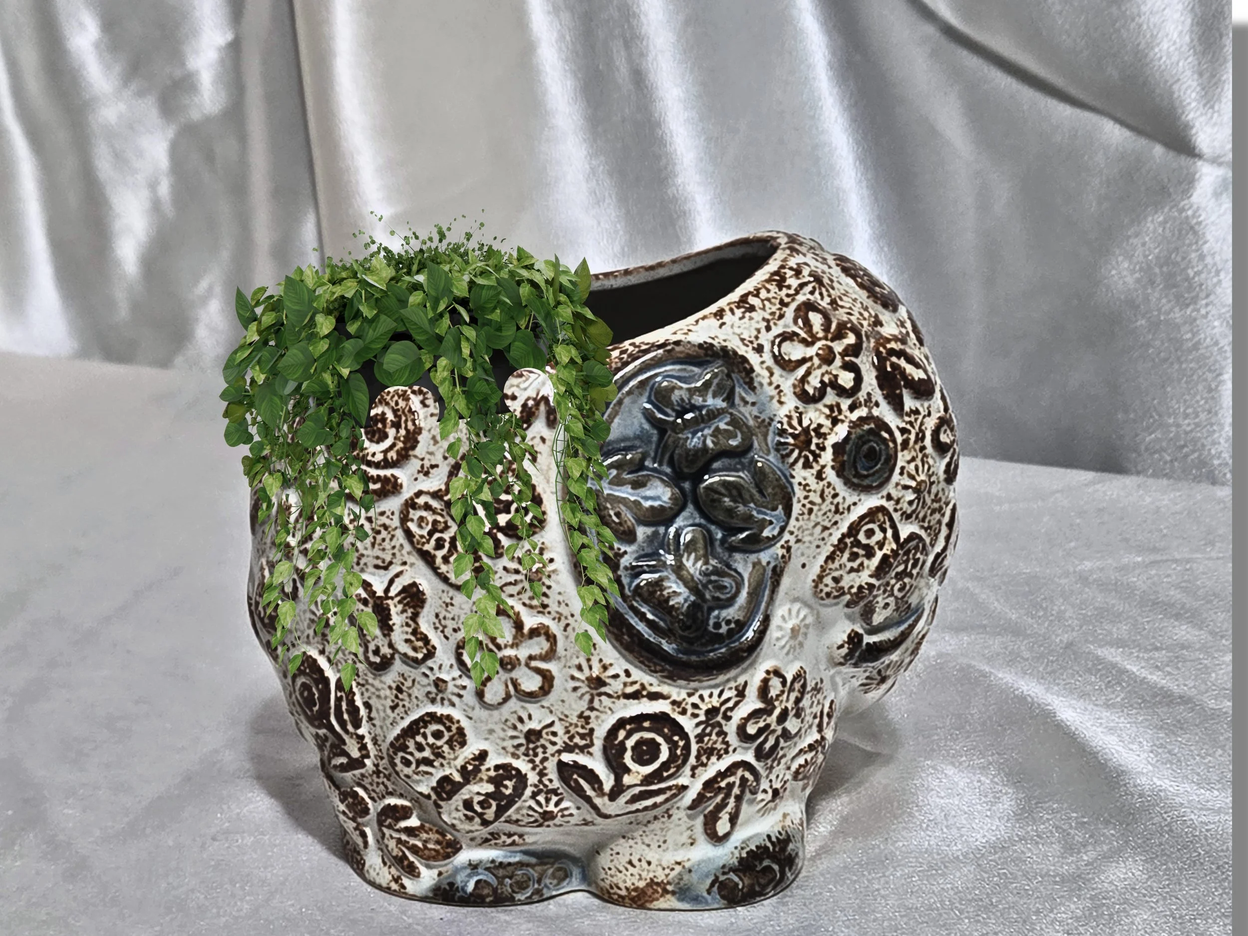 Elephant plant.jpg