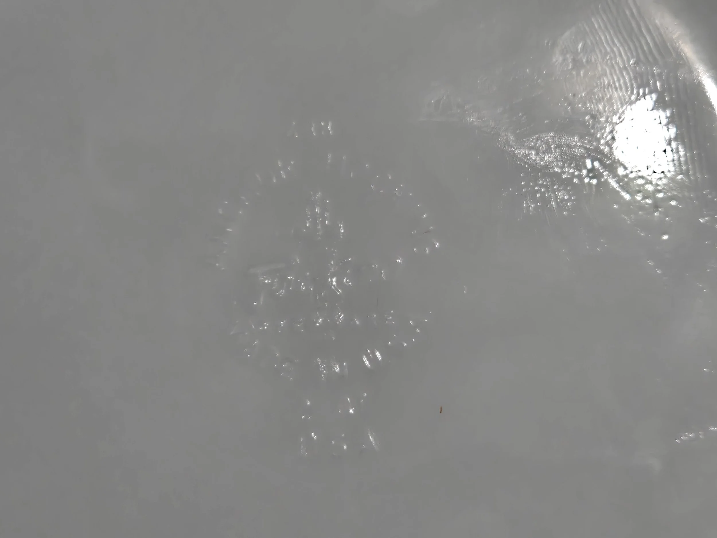 20260608_191704.jpg