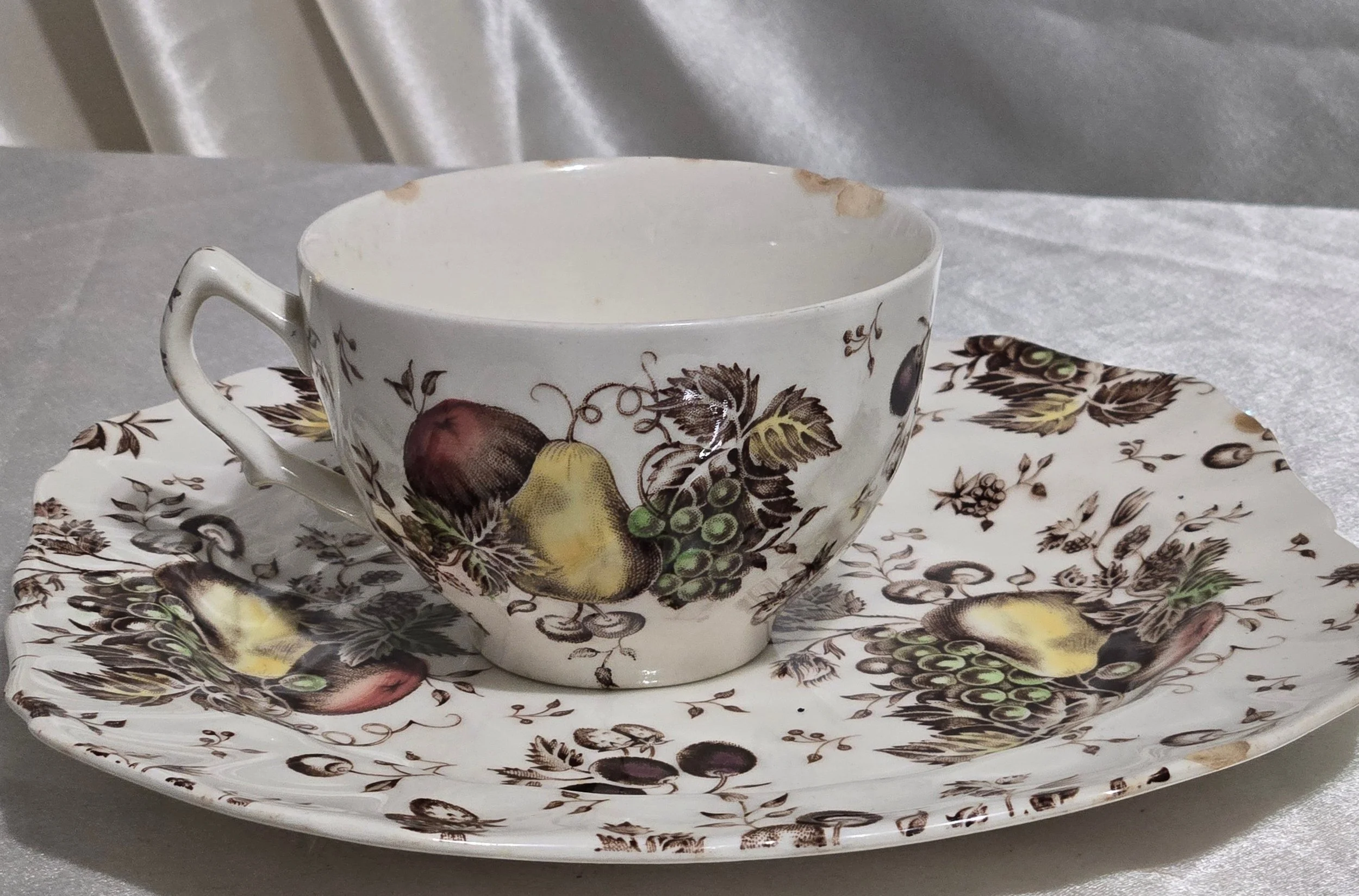 Johnson Brothers Autumn's Delight Fruit Cup & Saucer England