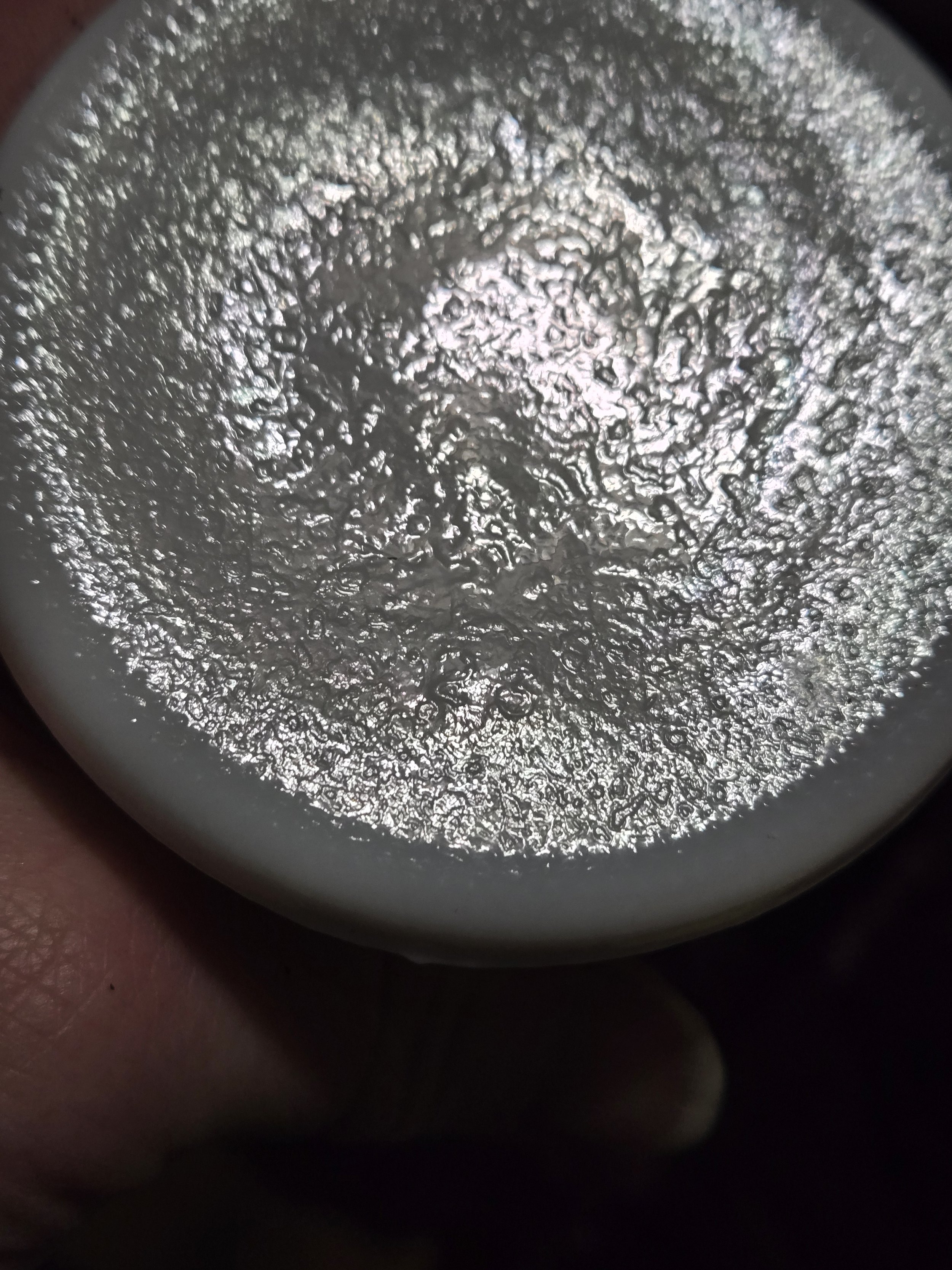 20260314_010853.jpg