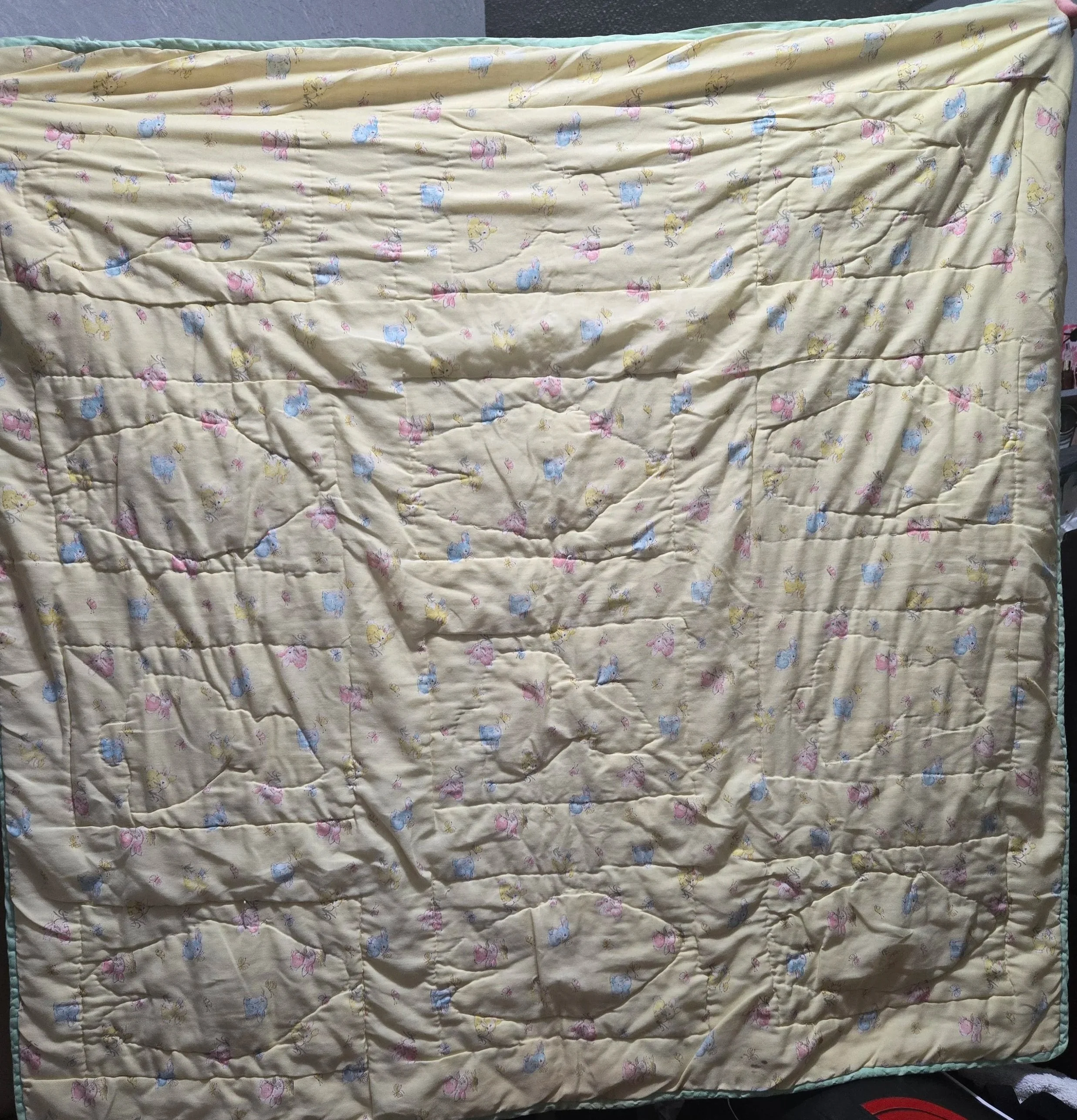 20260924_081718.jpg