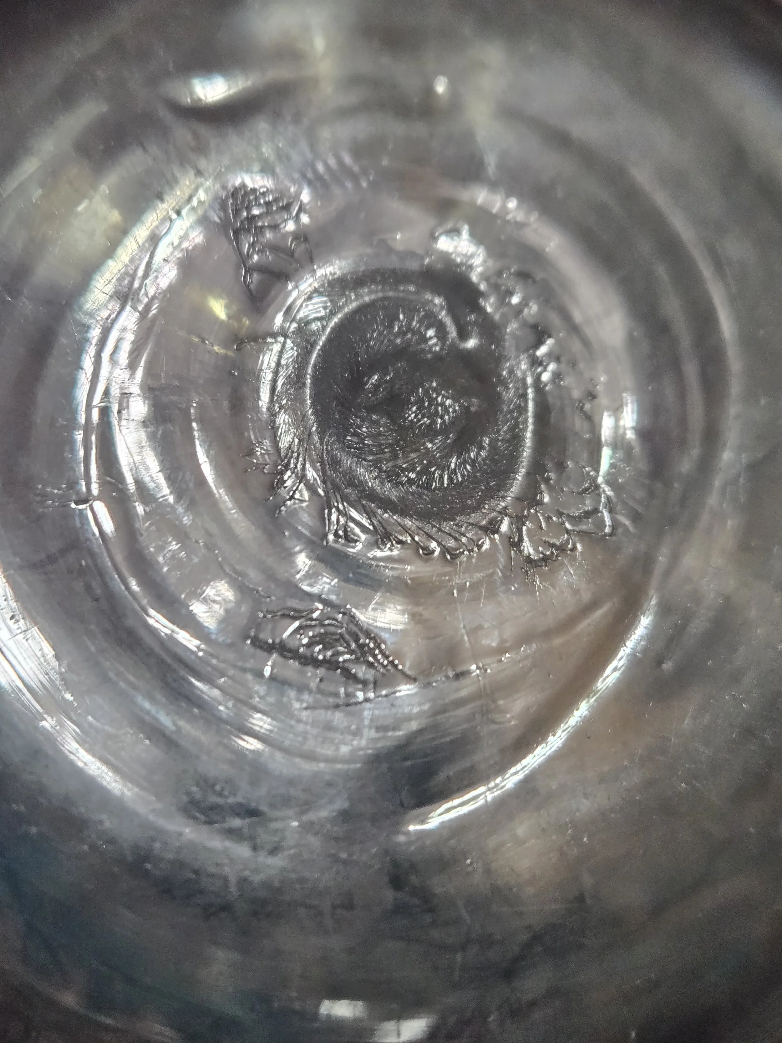 20261005_133415.jpg