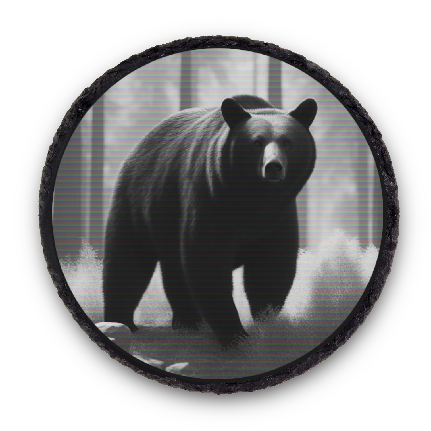 Natural Slate Coaster Black Bear