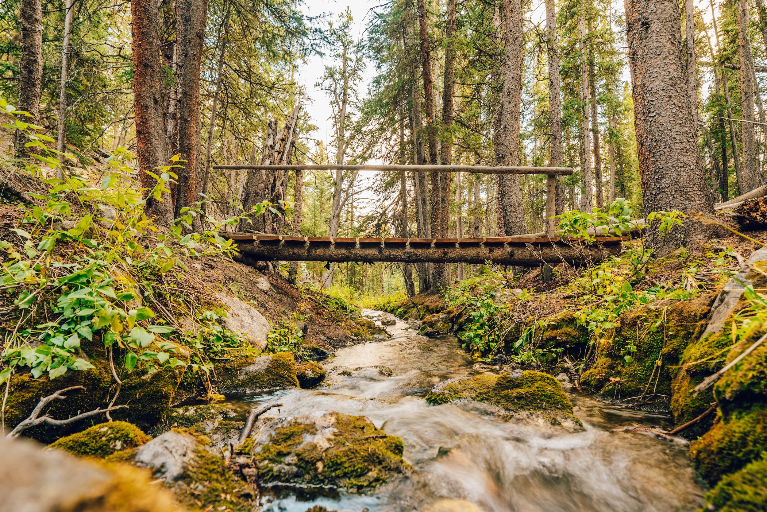 Quartzville Creek