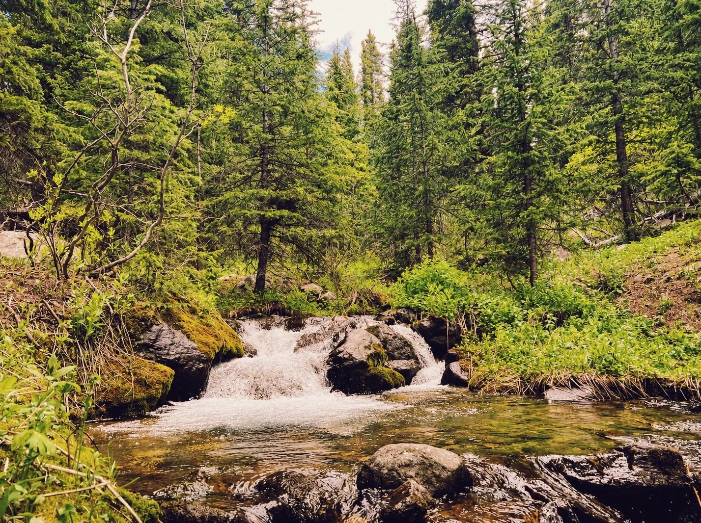 Natural Cold Plunge