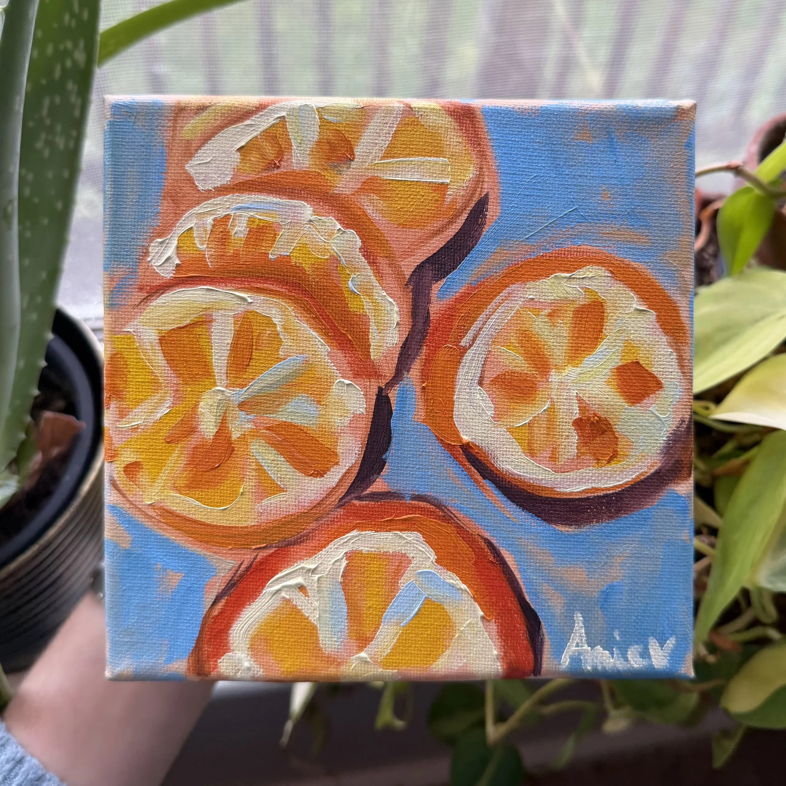 Citrus Study 4