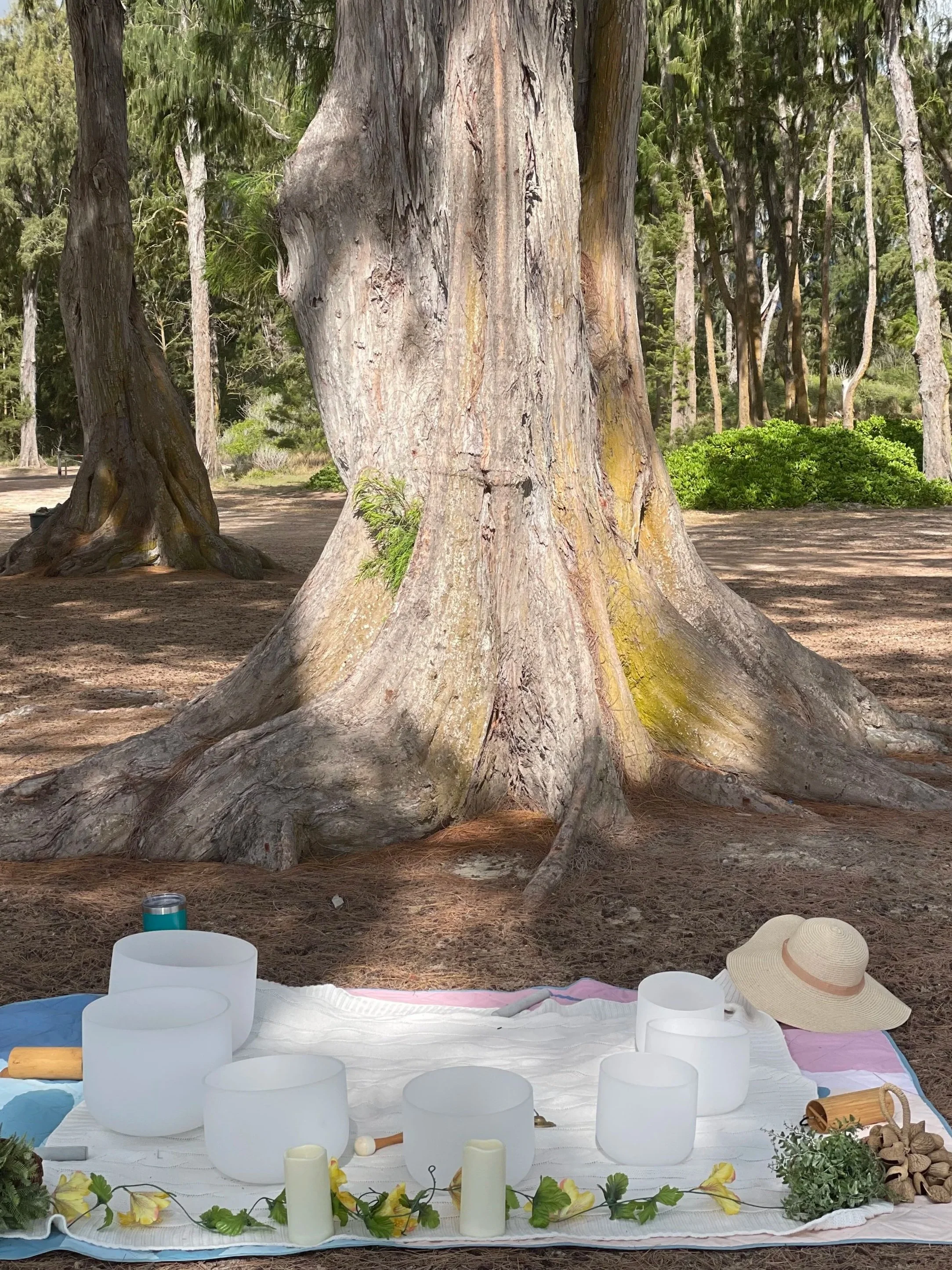 Outdoors or Indoors Sound Bath