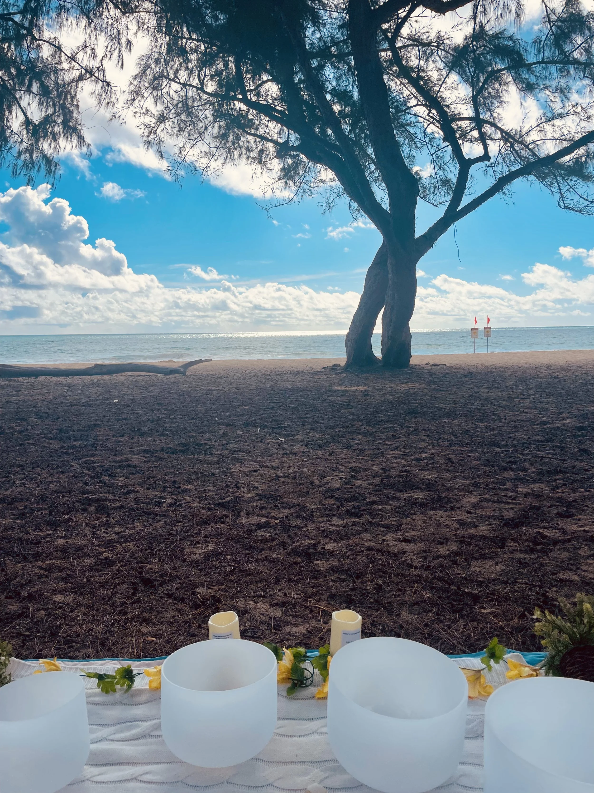 Photo Jun 20 2025, 8 44 57 AM.jpg