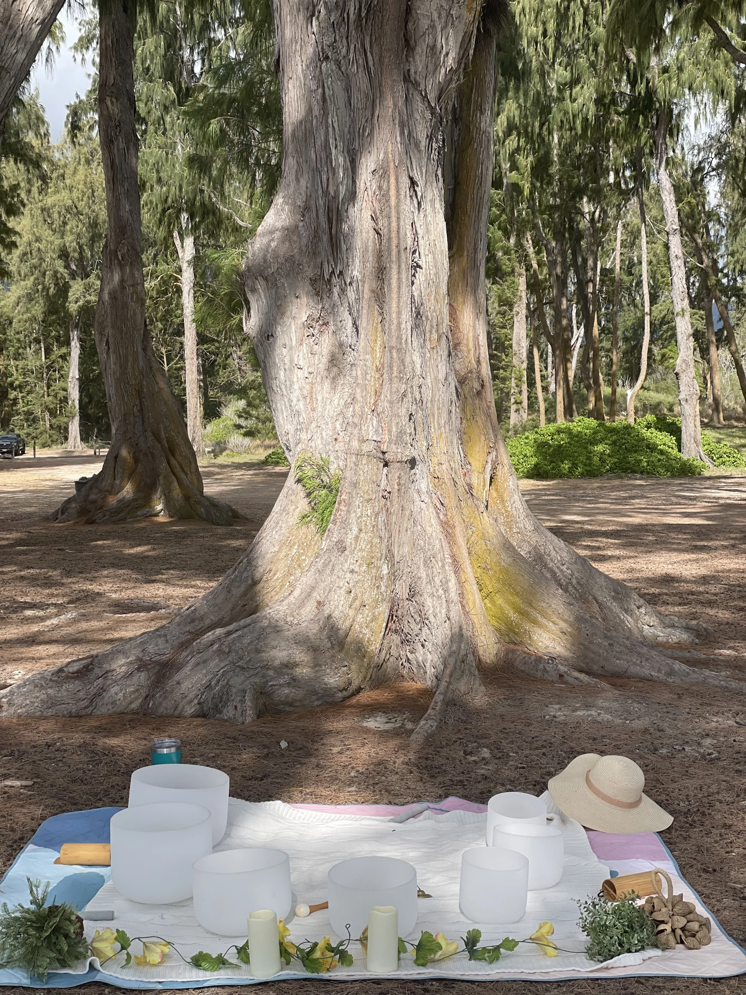 Photo Jun 20 2025, 8 43 00 AM.jpg