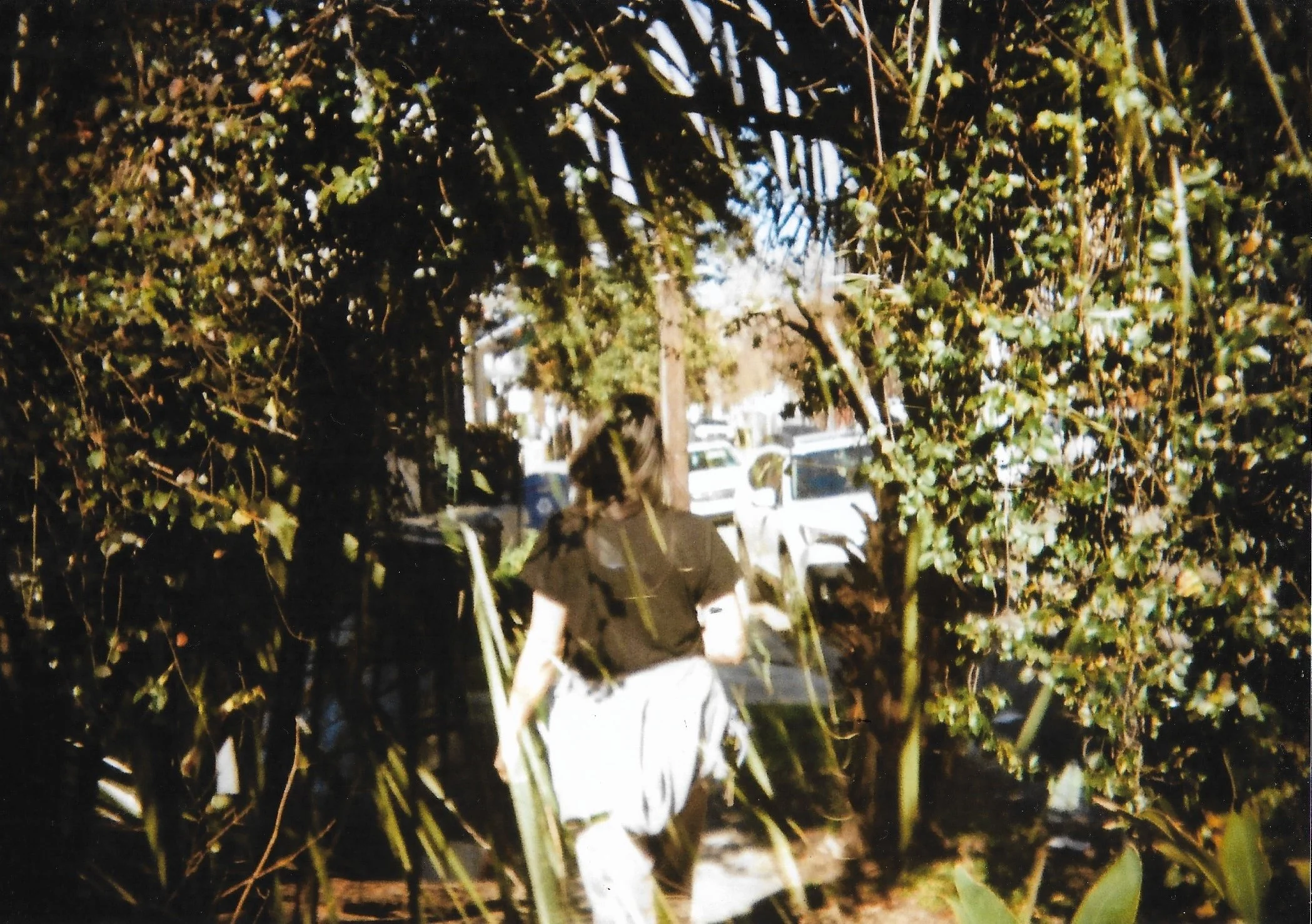 A person walking through a leafy, green outdoor space with parked cars visible in the background.