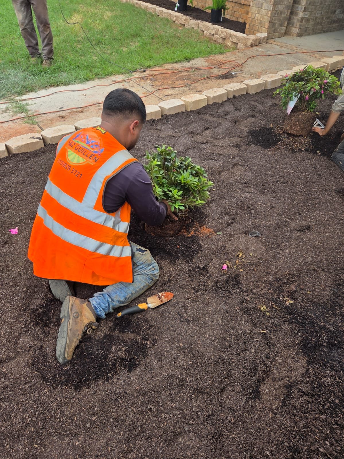 A person kneeling on the ground planting a shrub in dark soil, wearing an orange safety vest.