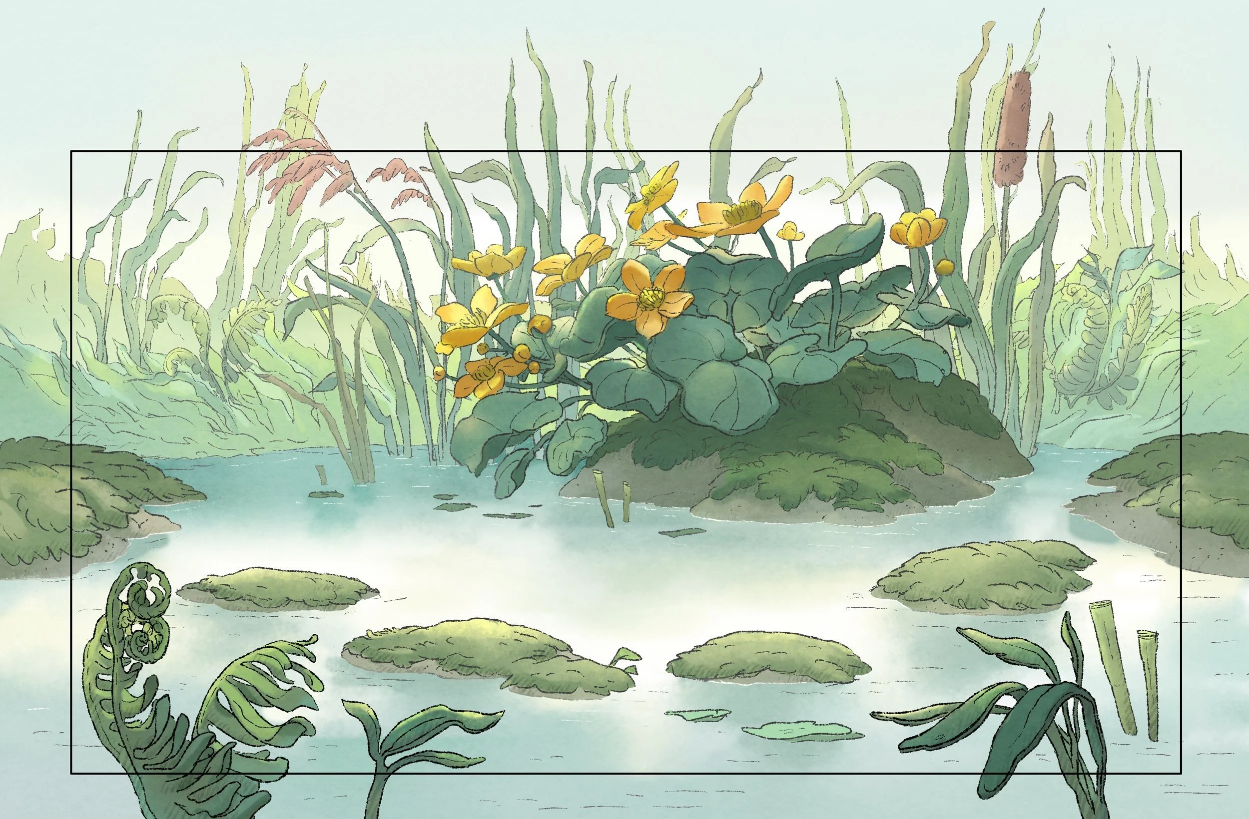 SHM104_BG_EXT_POND_STEPPING_STONES_V03_AW+copy.jpg