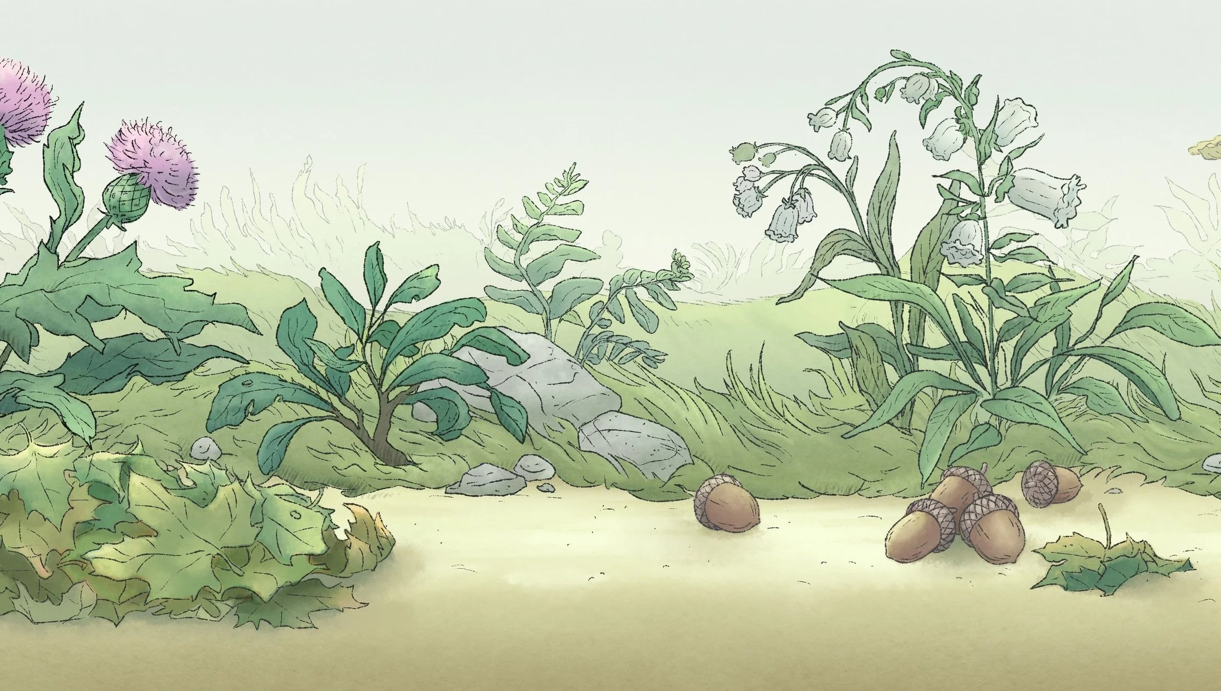 SHM109_BG_EXT_PATH_ACORNS_AW_V02+copy.jpg