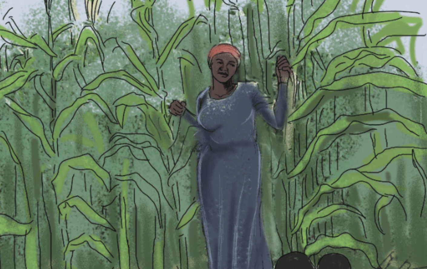 Financial Biographies of Refugees in Uganda.png