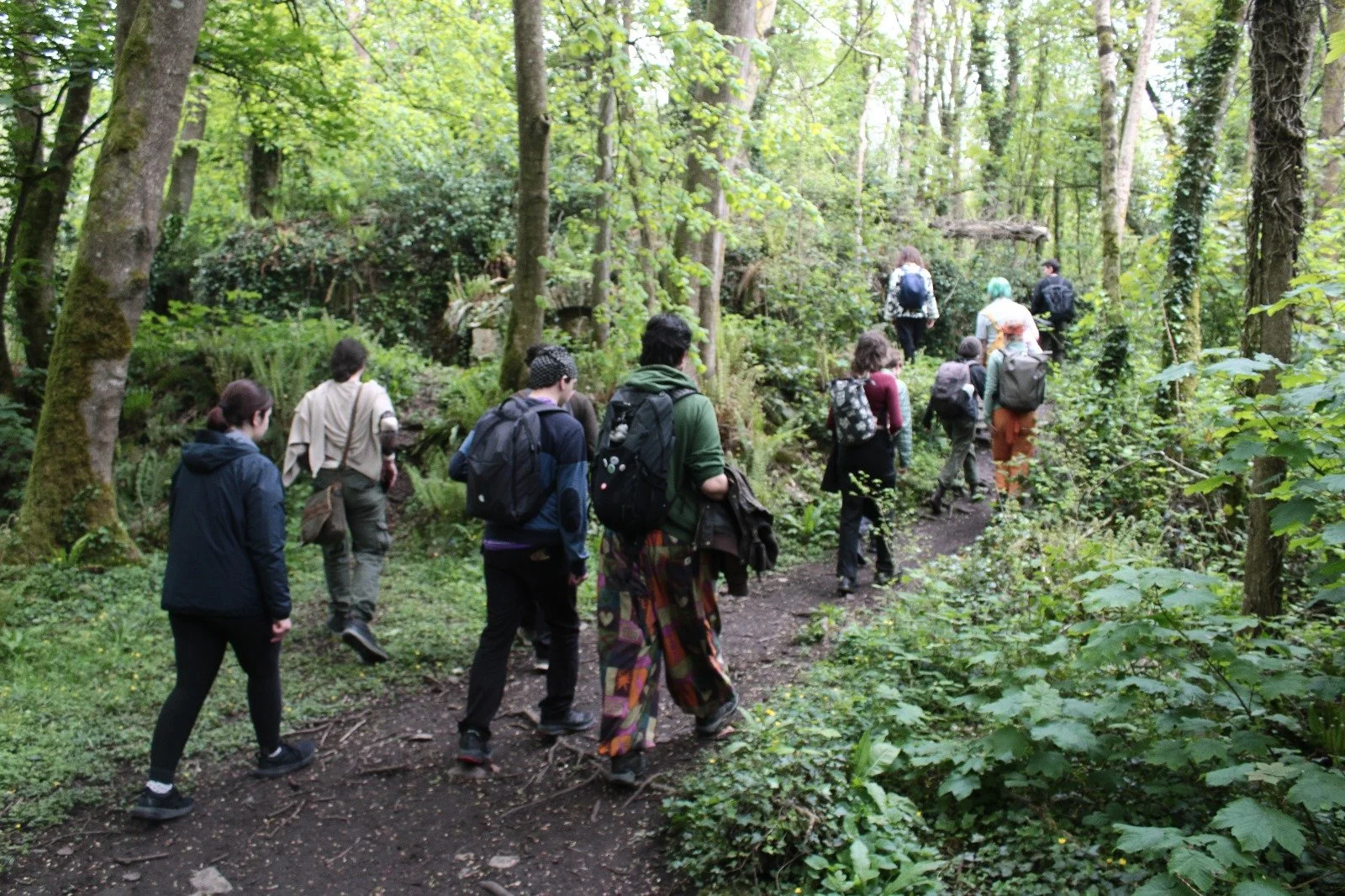 Cork Queer Nature Collective.jpg