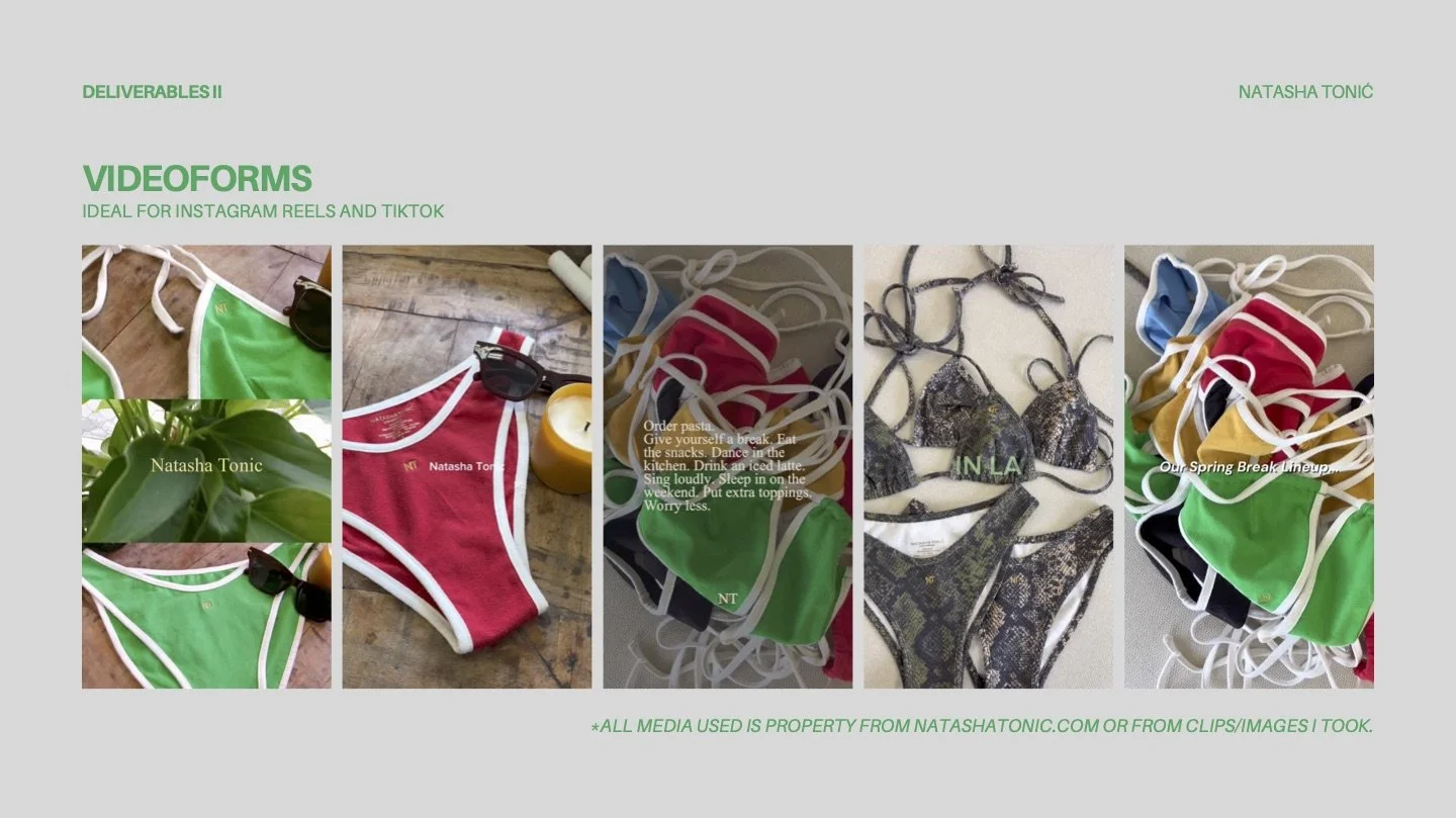 Natasha Tonic Pitch Deck-7 (dragged).jpeg