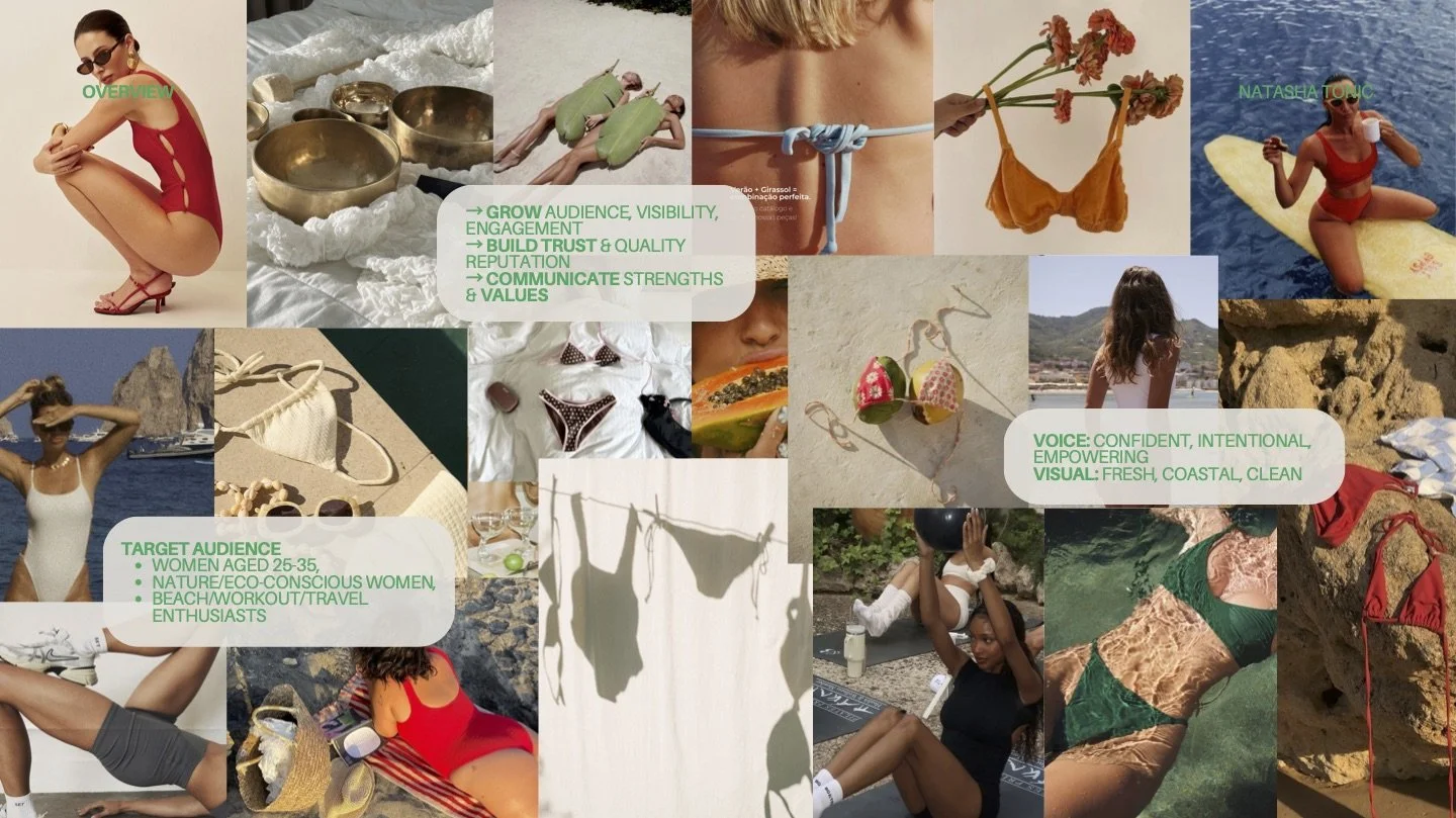 Natasha Tonic Pitch Deck-3 (dragged).jpeg