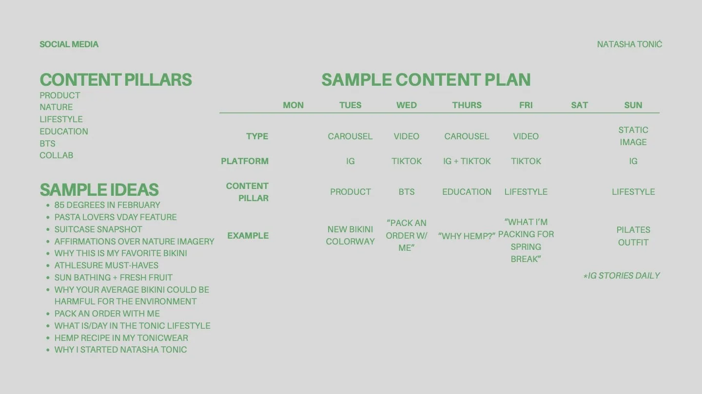Natasha Tonic Pitch Deck-5 (dragged).jpeg