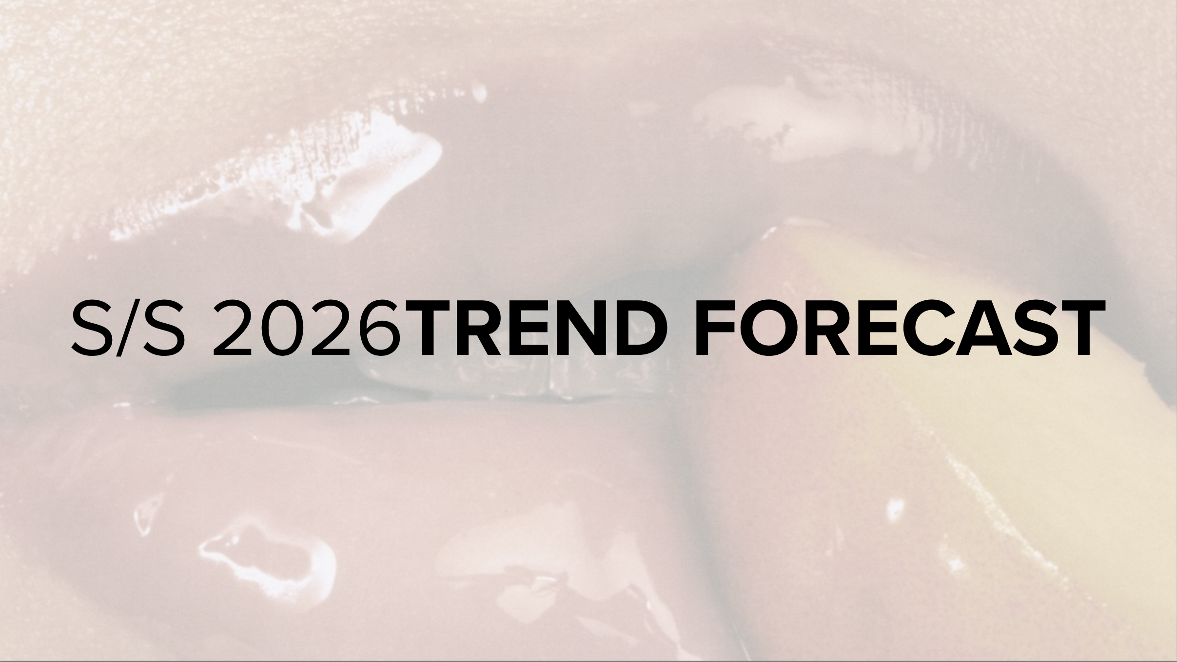 Screenshot 2025-12-08 at 3.44.24 AM.png