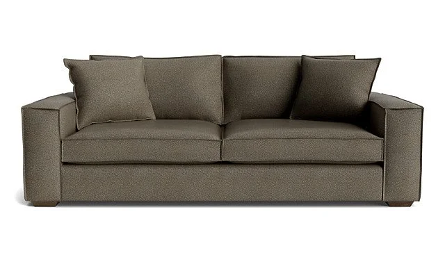Gray fabric sofa with two matching throw pillows.