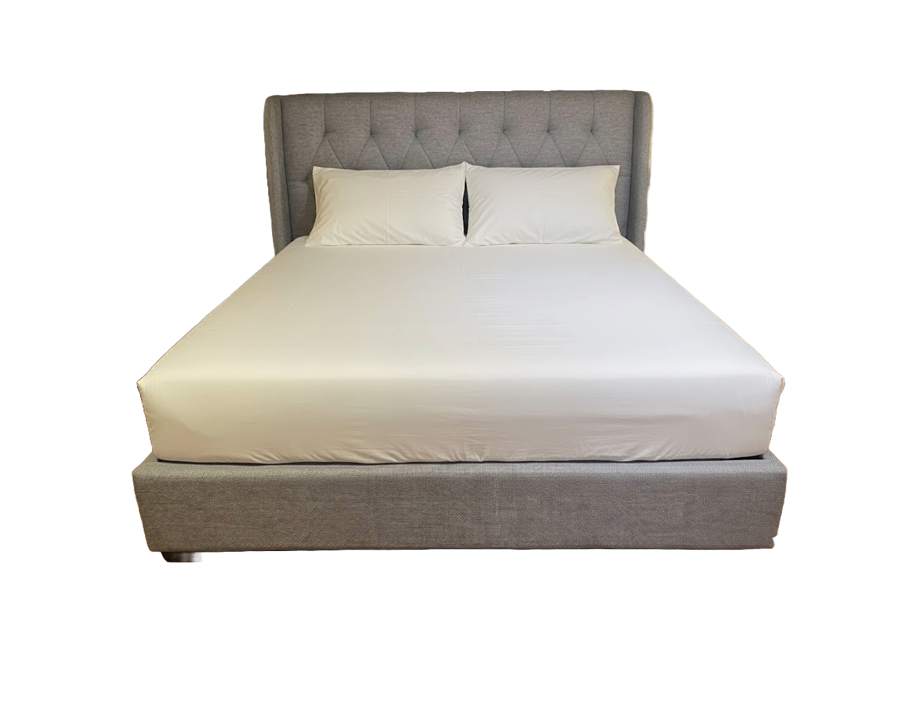 Adobe Express - file (28)a.png