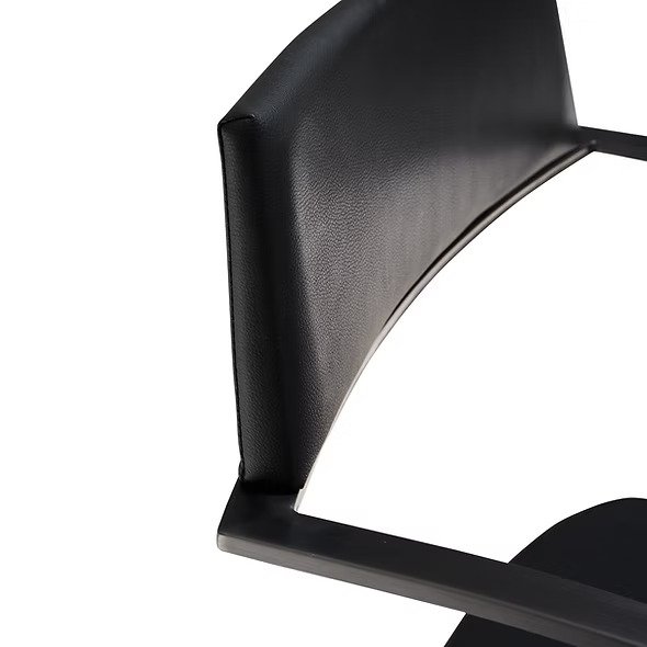 Sofia-Black Titanium-Ebony05.jpg