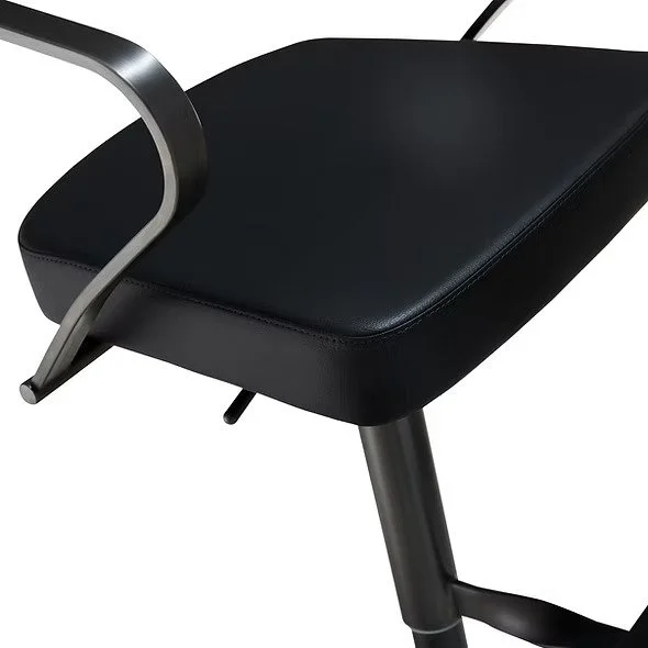 Sofia-Black Titanium-Ebony07.jpg