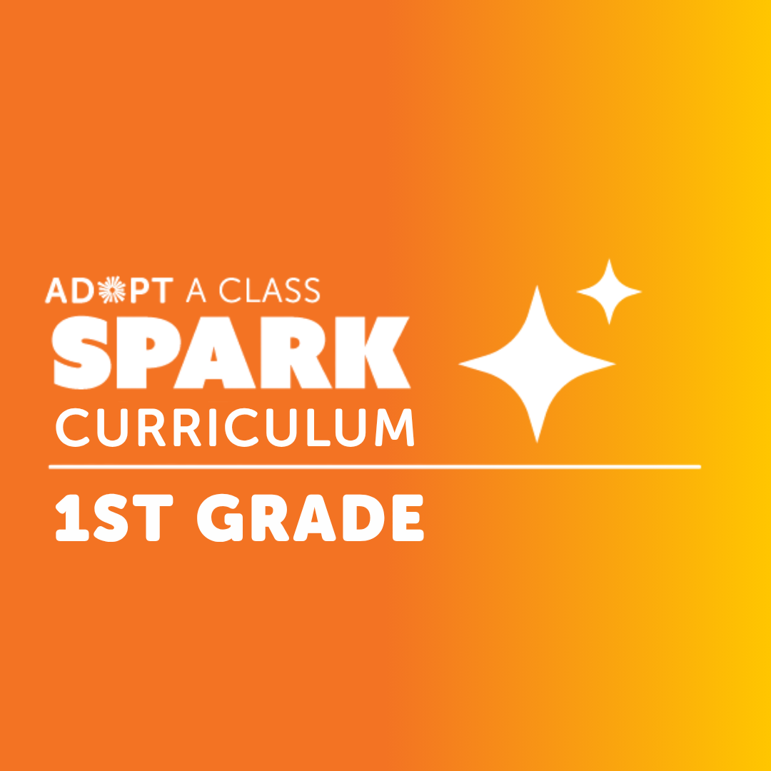 1st Grade