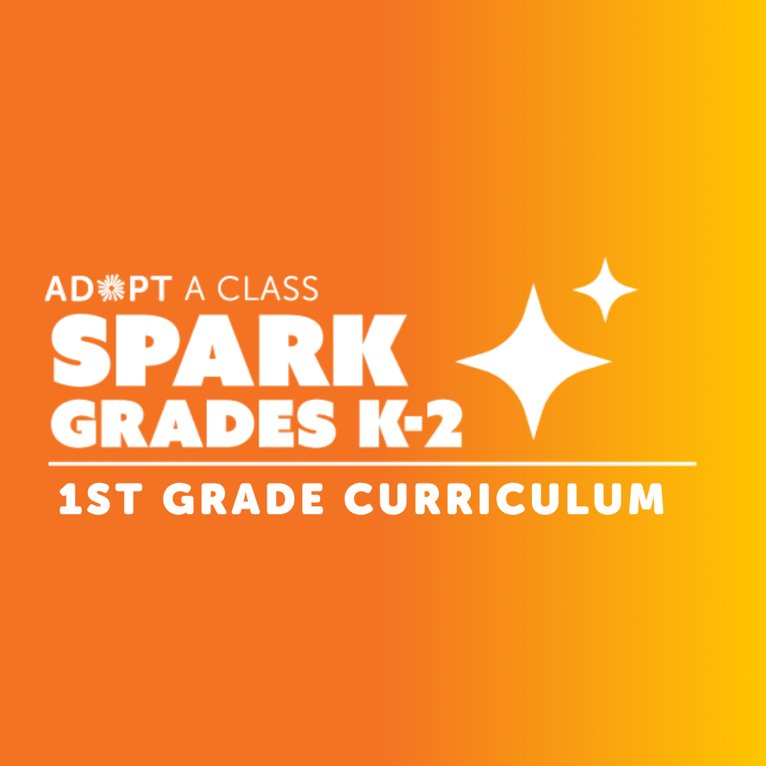 1st Grade