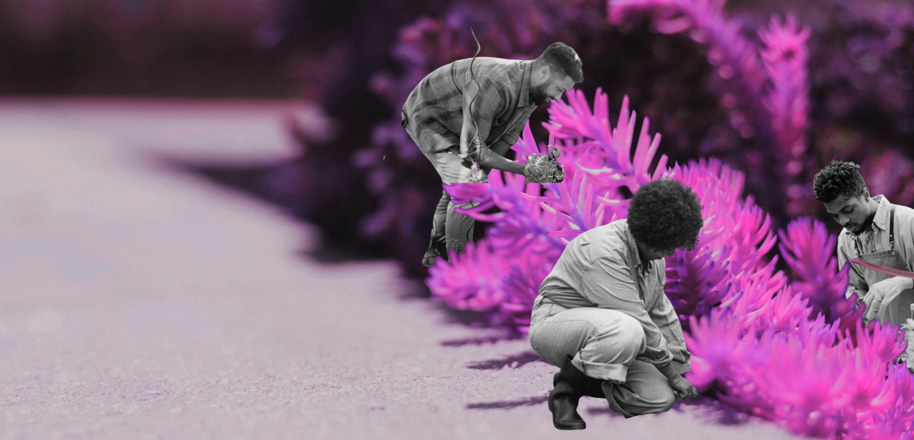 2025 Key Learnings on Reparative Capital: A Year of Shared Power and Collective Possibility