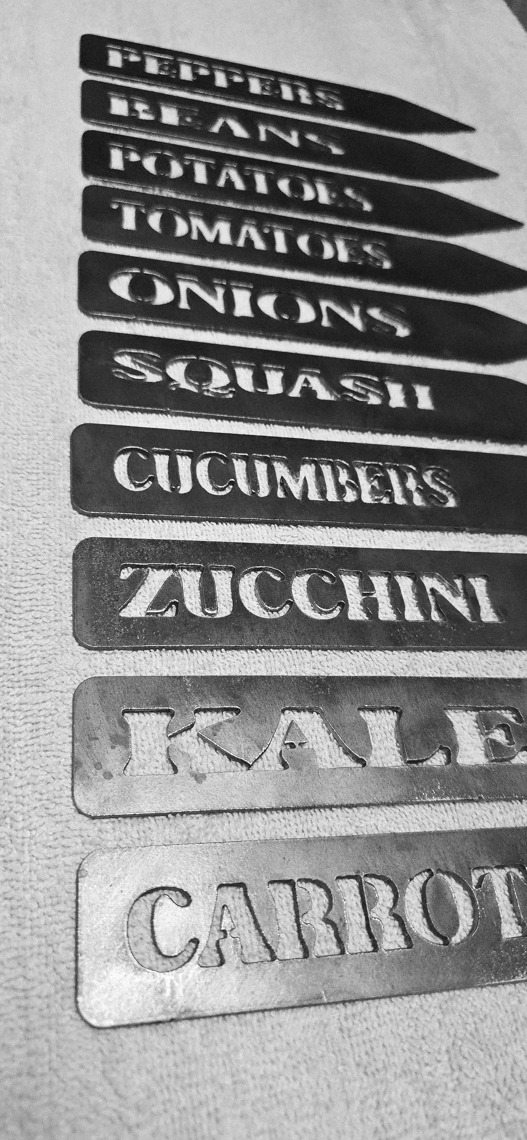 20260221_211808.jpg (Copy)