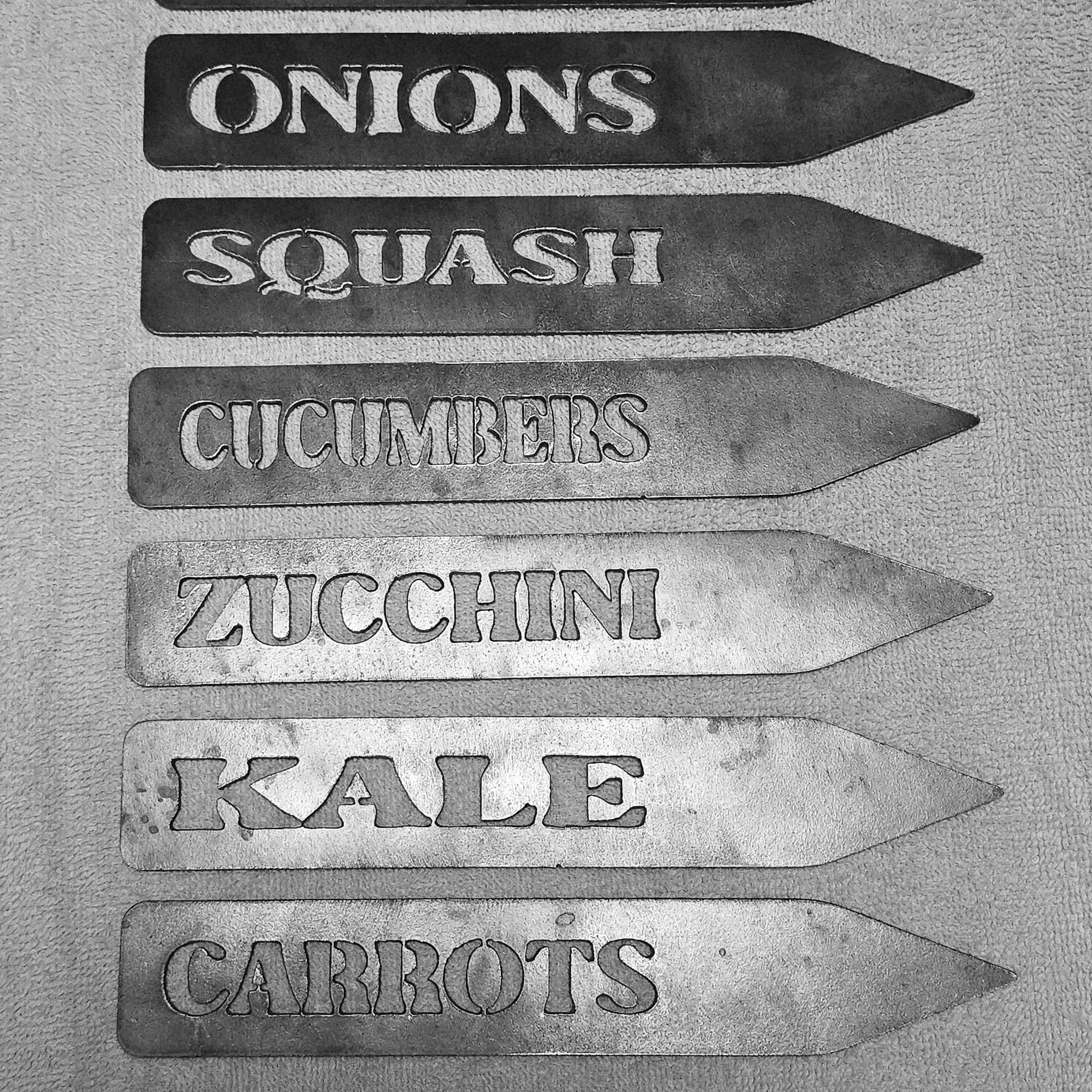 20260221_211907.jpg (Copy)