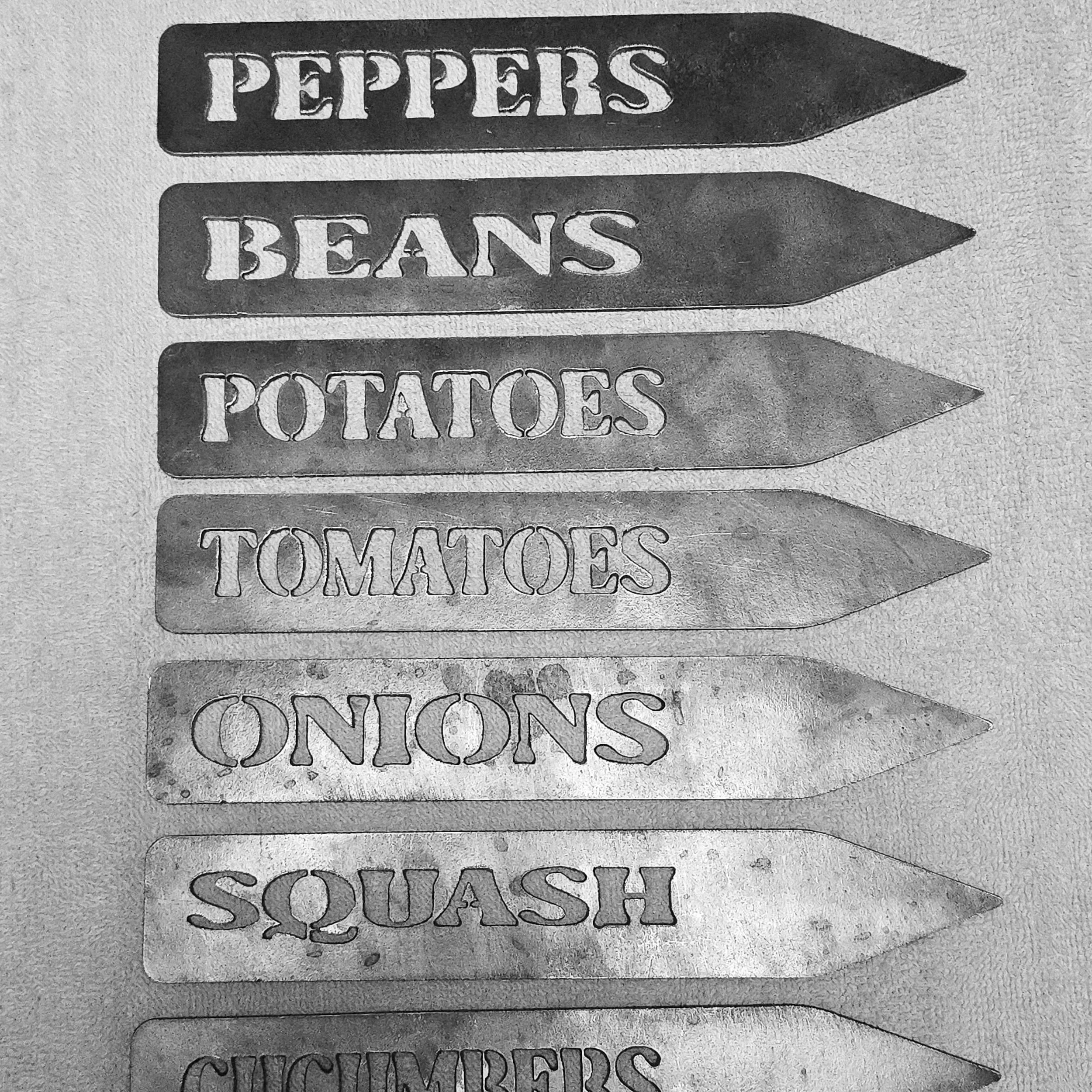 20260221_211902.jpg (Copy)