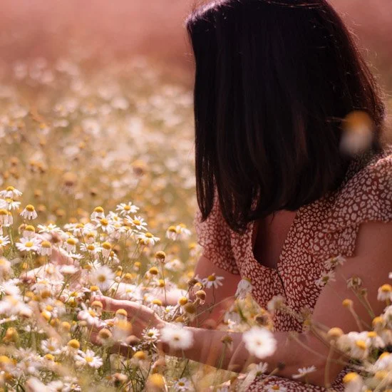 Frau im Sommerkleid pflückt Kamillenblüten